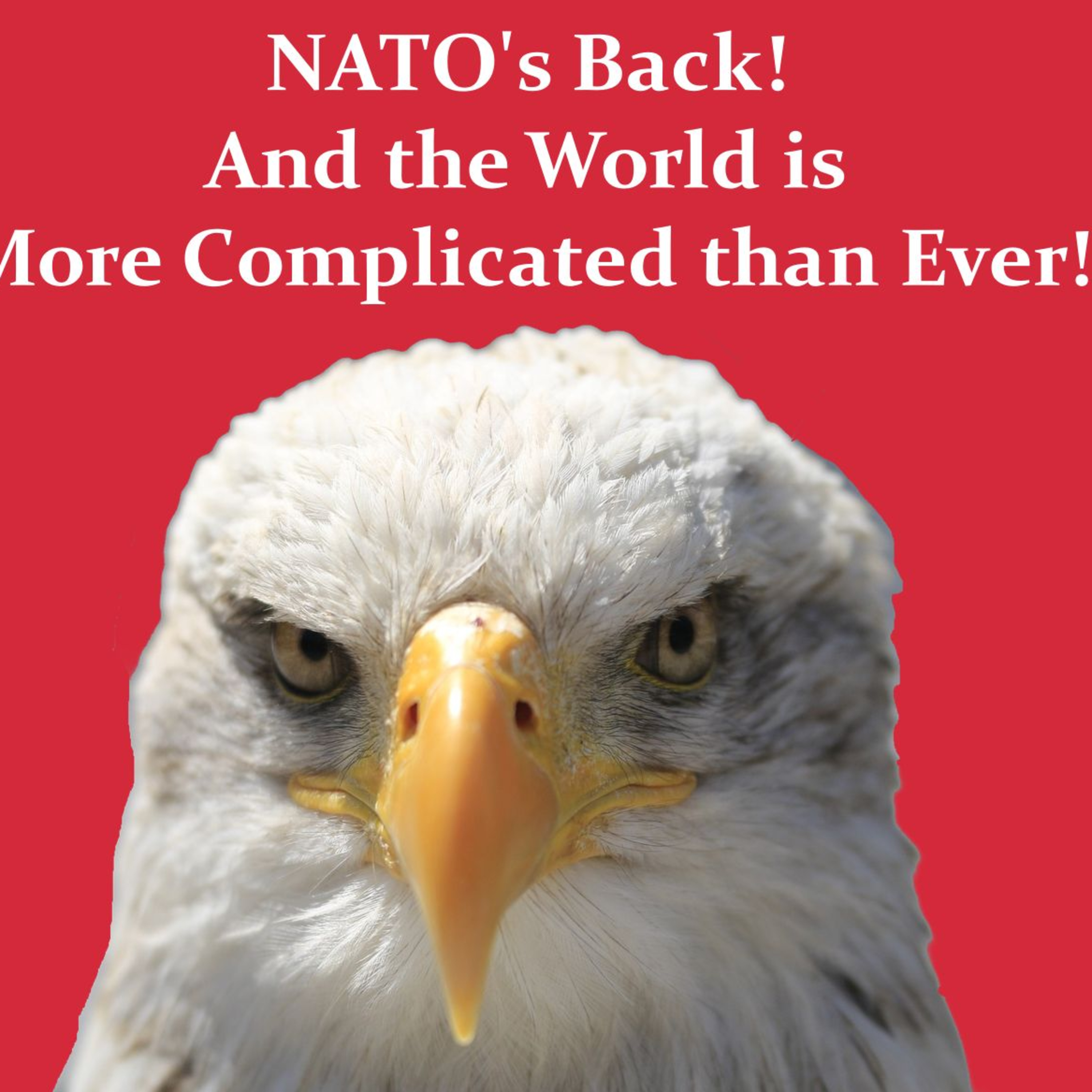 NATO's Back! And the World is More Complicated than Ever! episode artwork