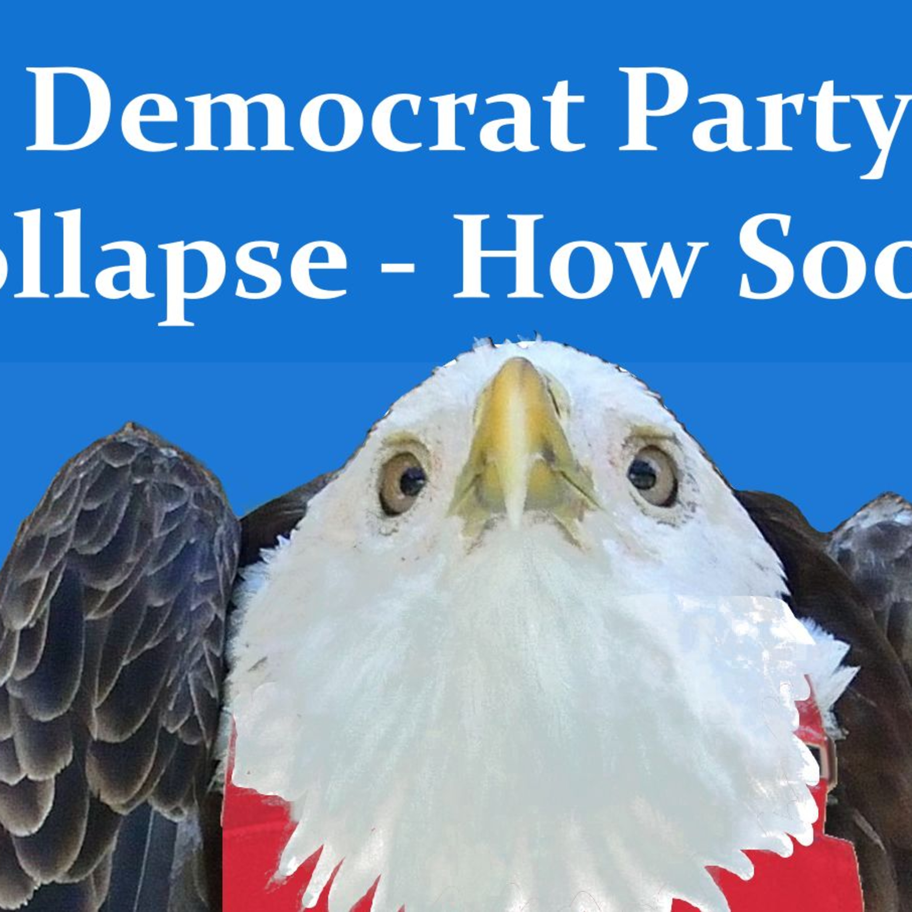 Democrat Party Collapse - How Soon? episode artwork