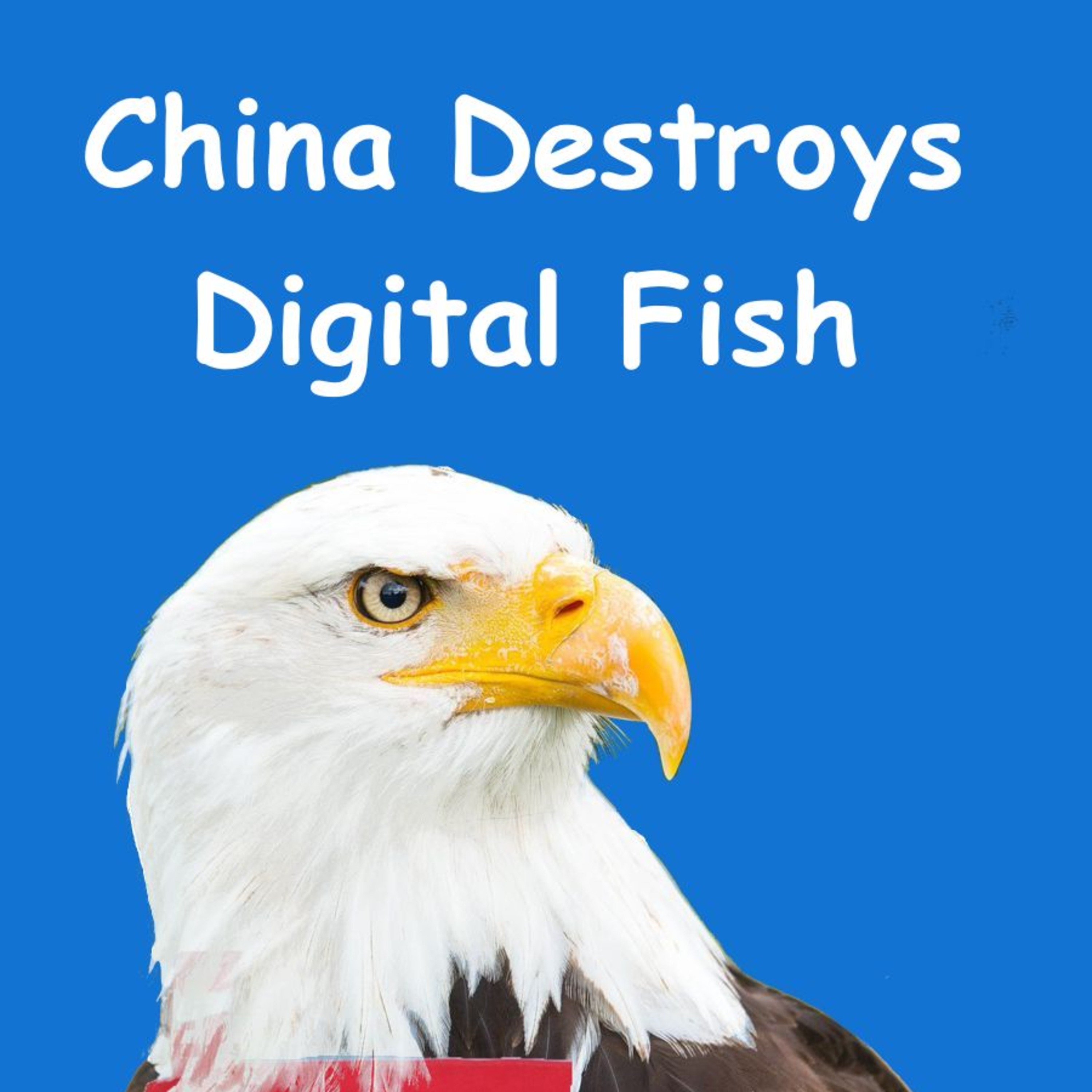 China Destroys Digital Fish episode artwork