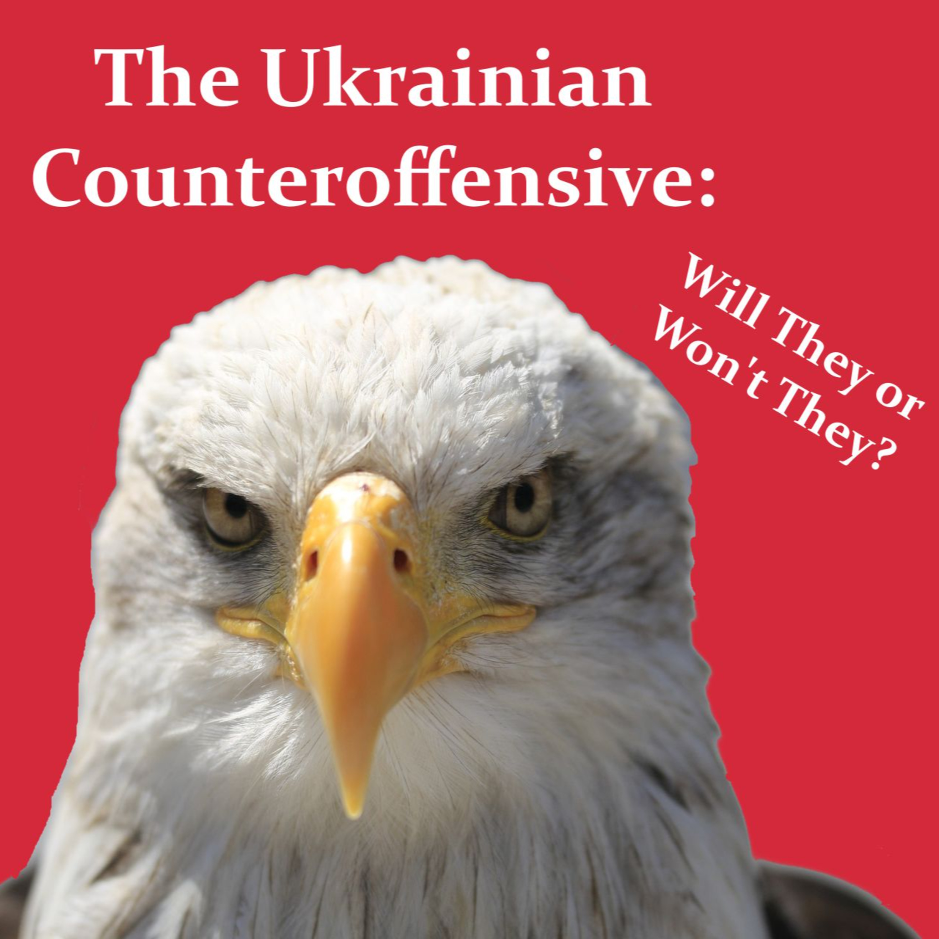 The Ukrainian Counteroffensive: Will They or Won't They? episode artwork