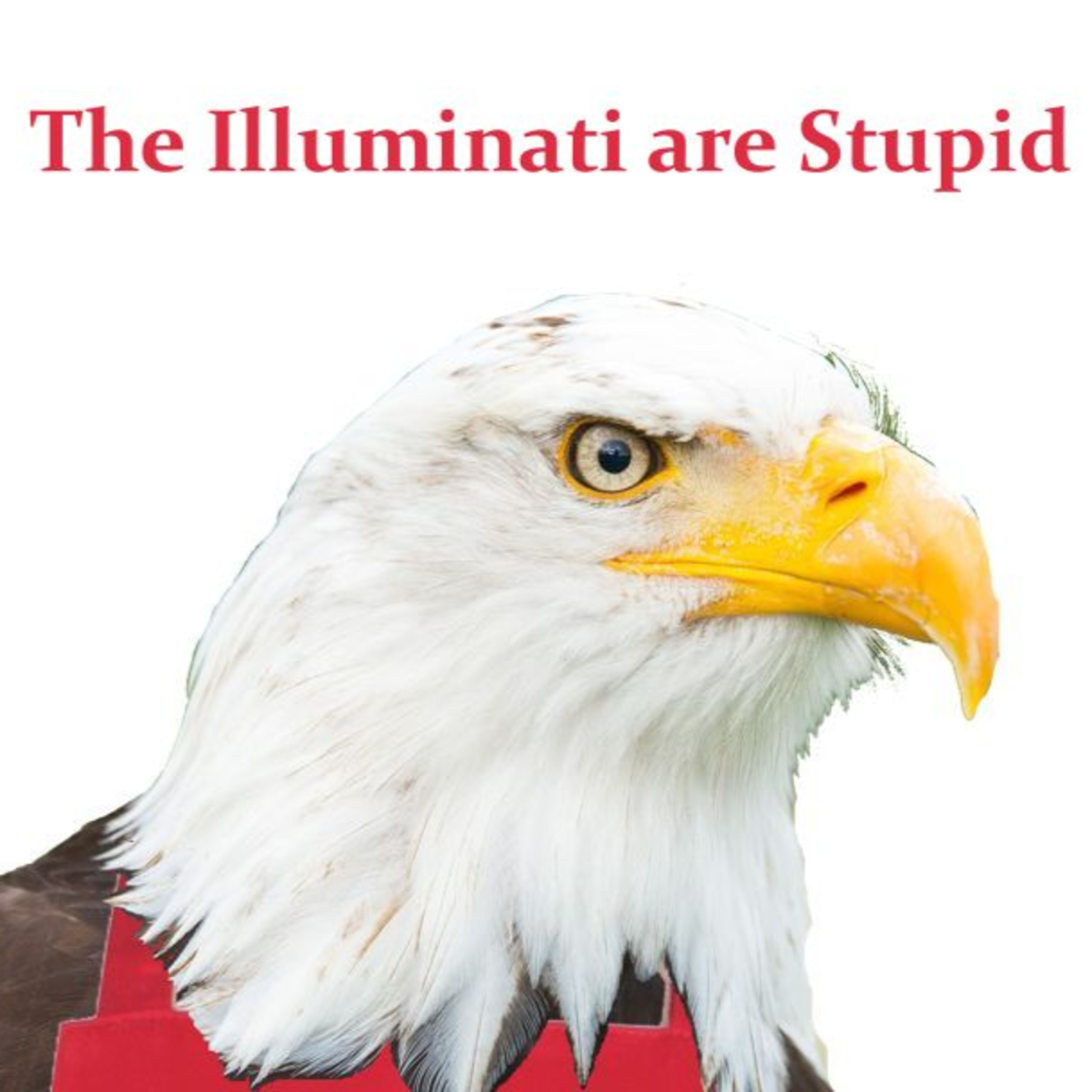 The Illuminati are Stupid episode artwork