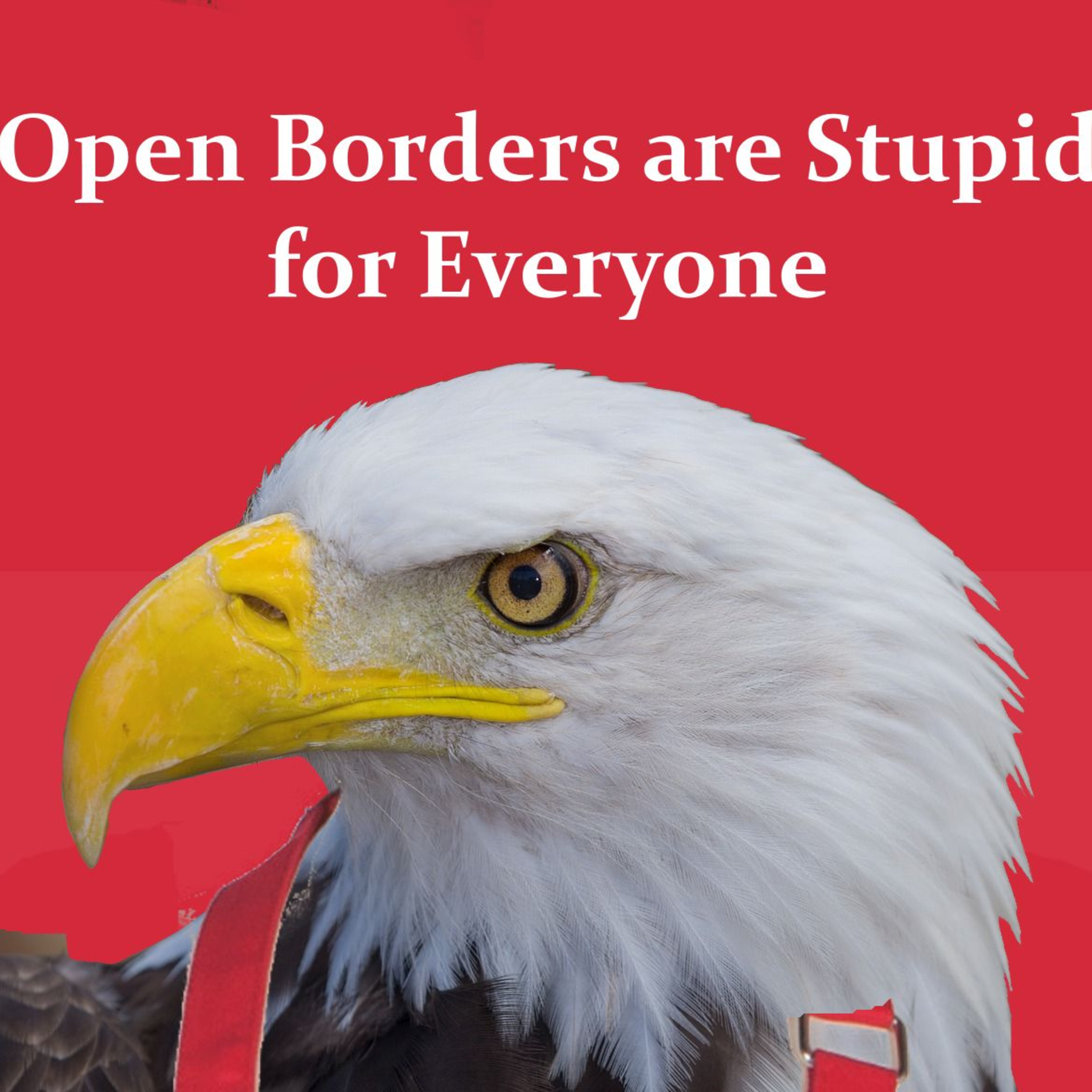 Open Borders are Stupid for Everyone episode artwork