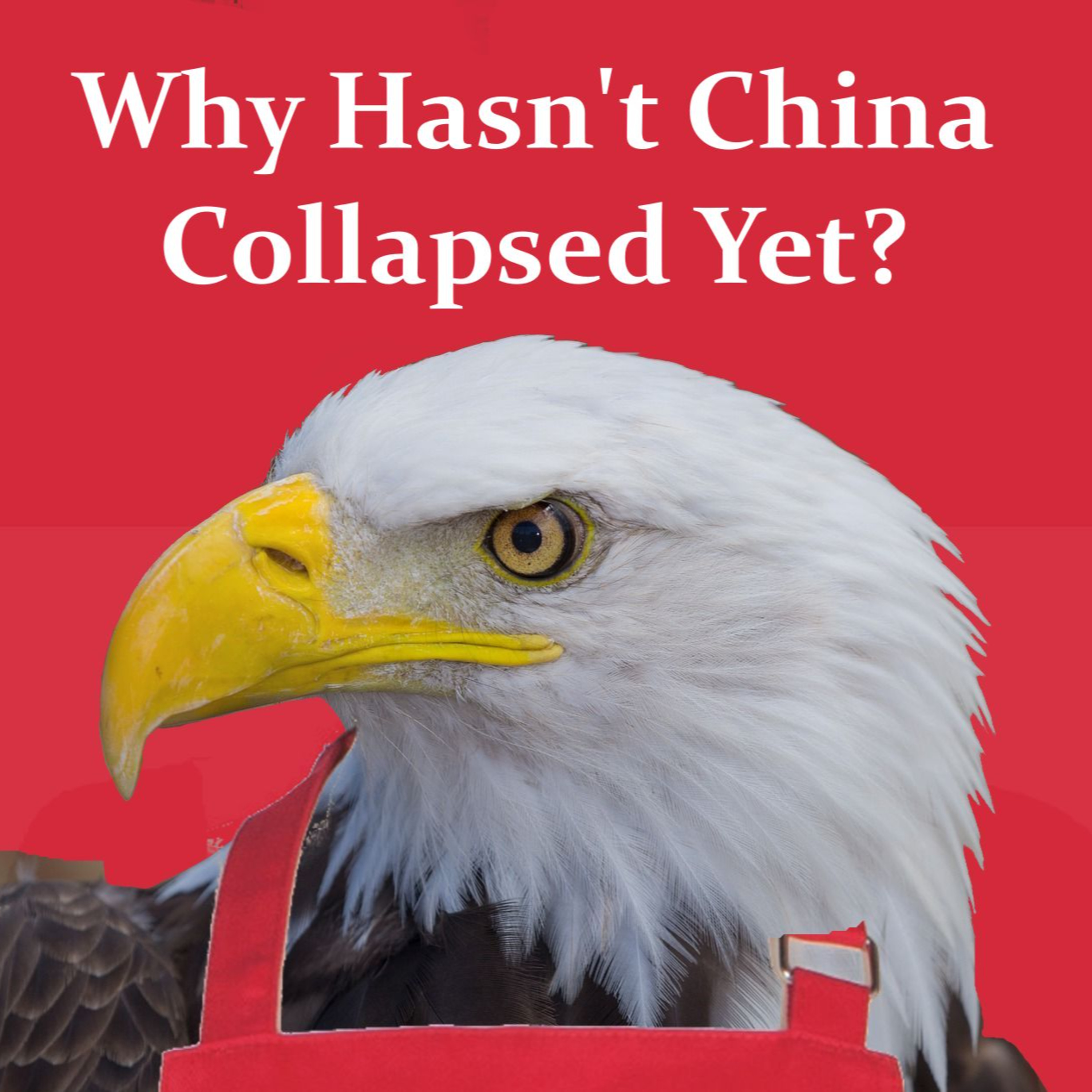 Why Hasn't China Collapsed Yet? episode artwork