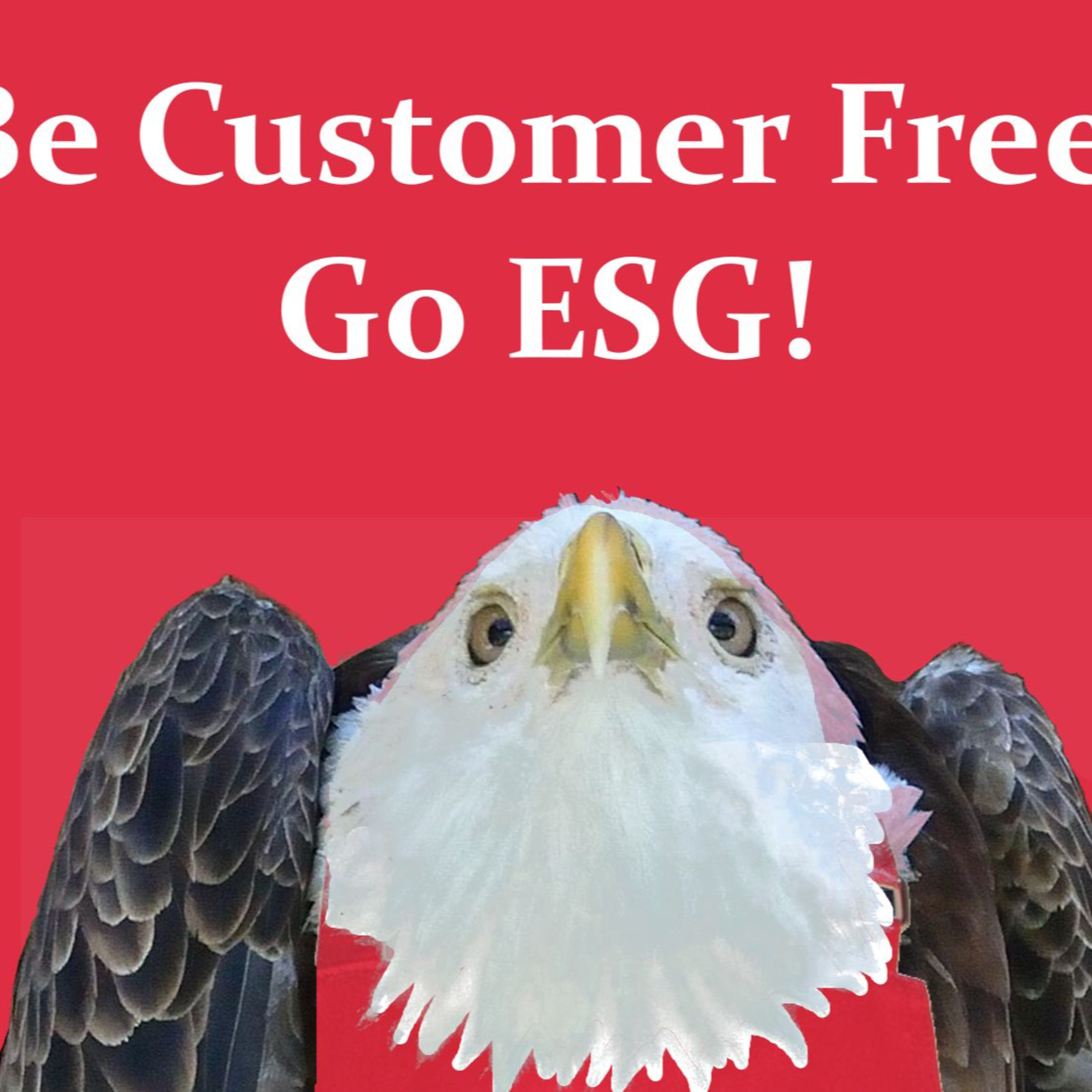 Be Customer Free! Go ESG! episode artwork