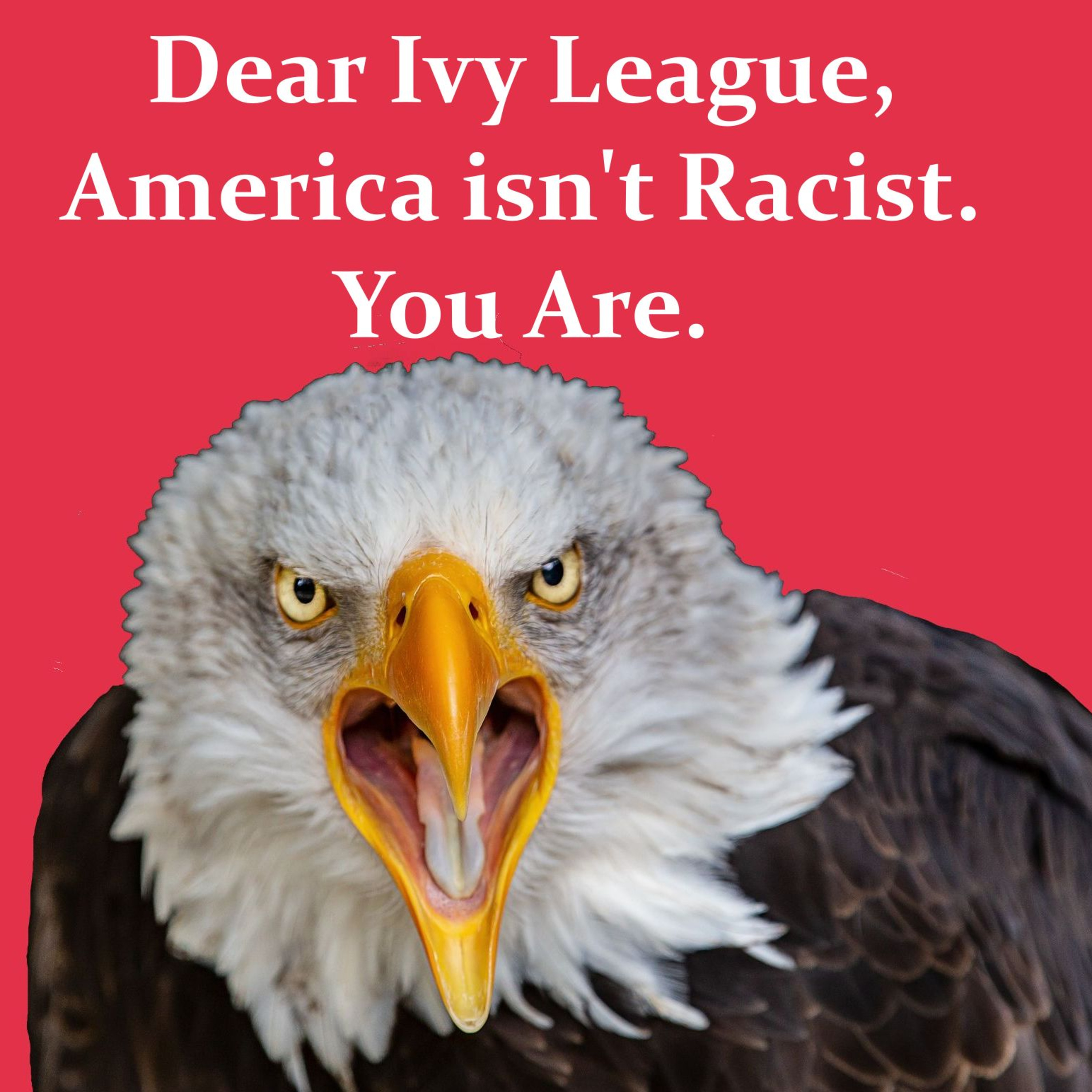 Dear Ivy League, America isn't Racist. You Are. episode artwork