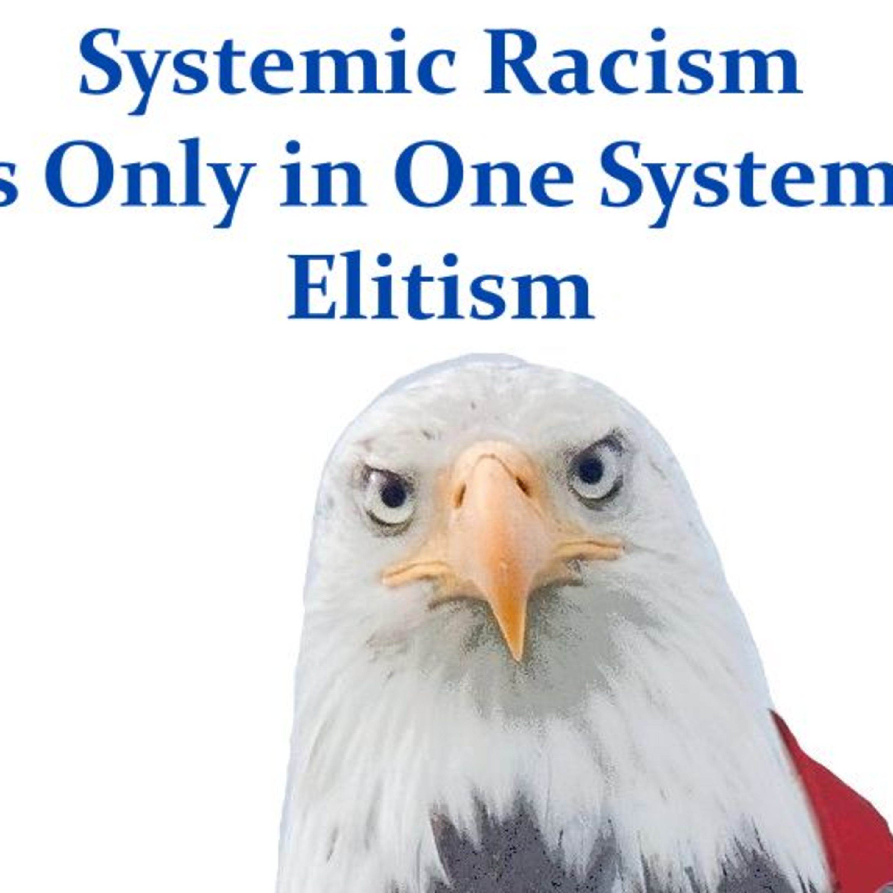 Systemic Racism is Only in One System: Elitism episode artwork