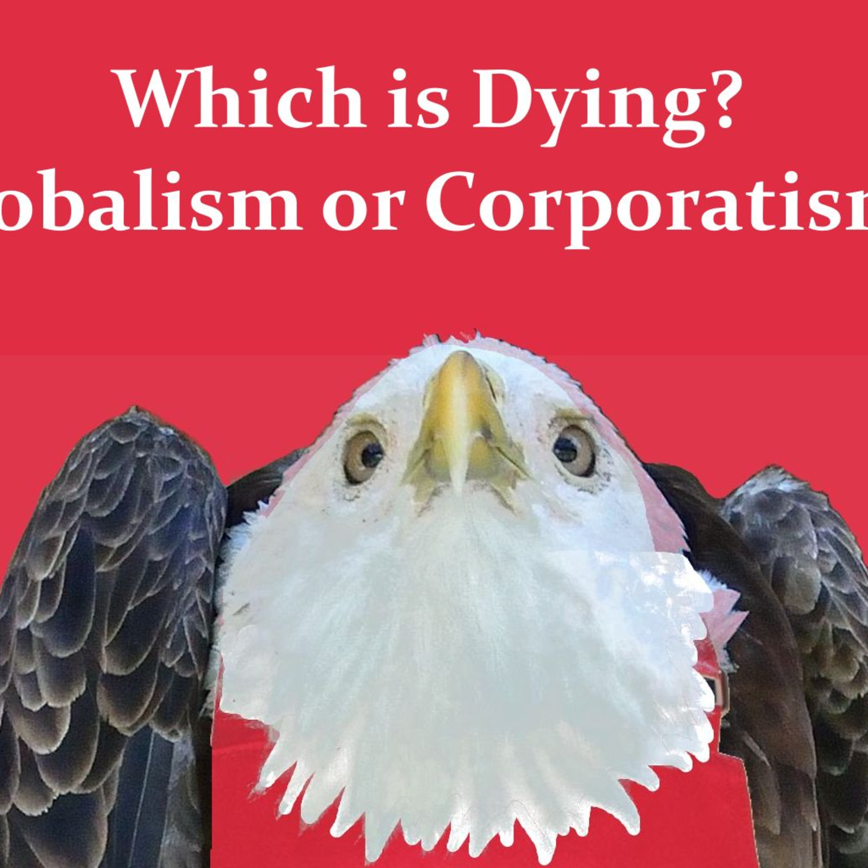Which is Dying? Globalism or Corporatism? episode artwork