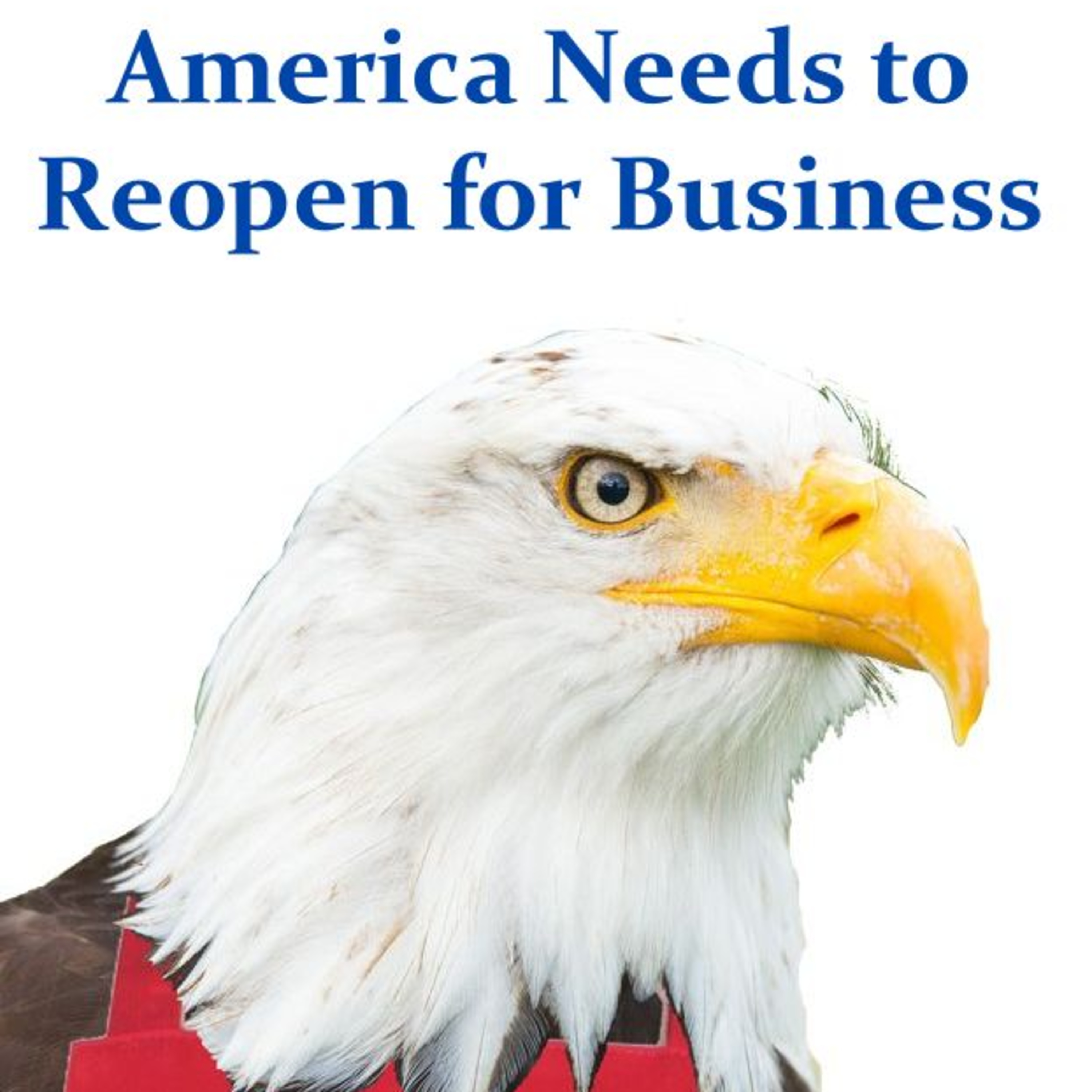 America Needs to Reopen for Business episode artwork