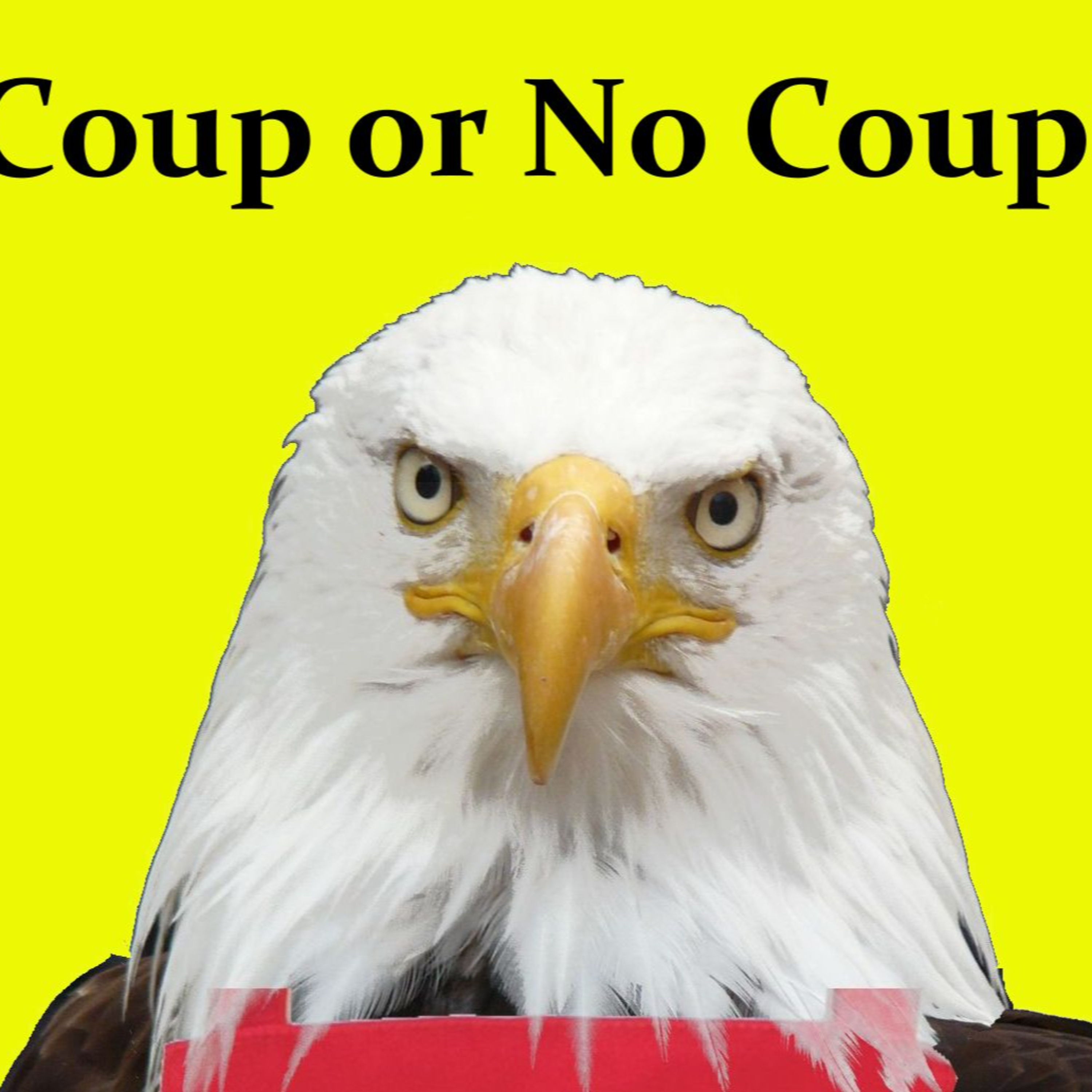 Coup or No Coup? episode artwork