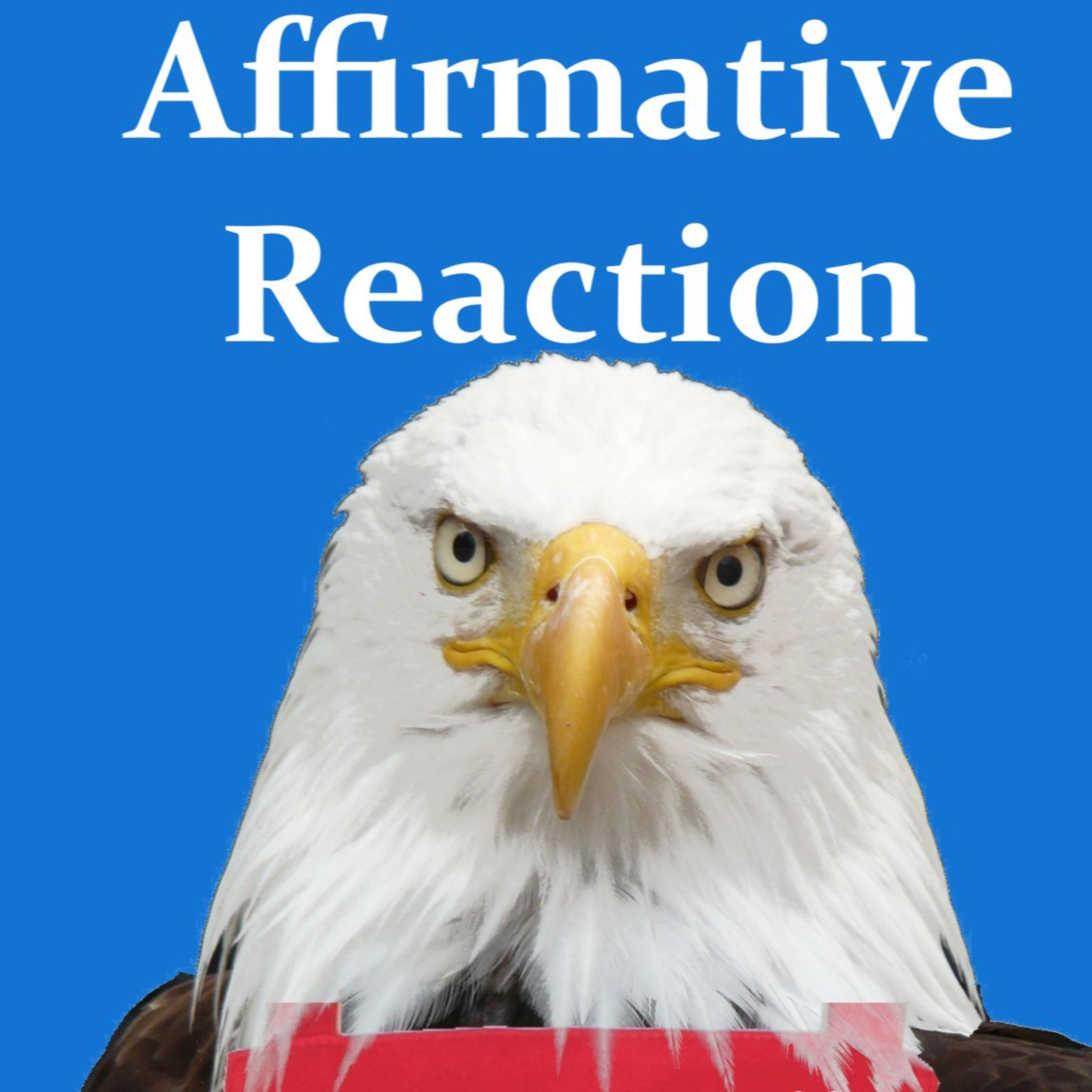Affirmative Reaction episode artwork