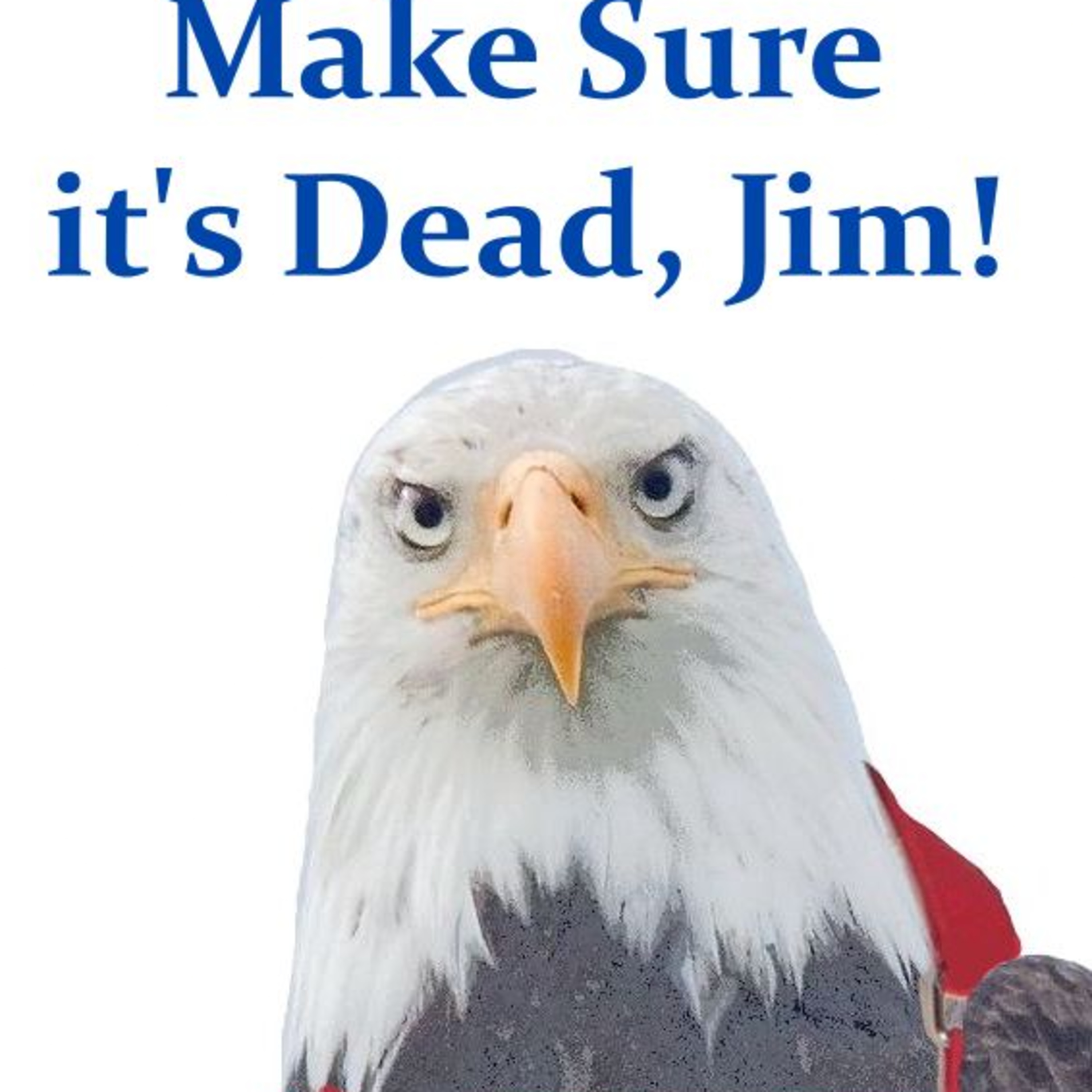 Make Sure it's Dead, Jim! episode artwork
