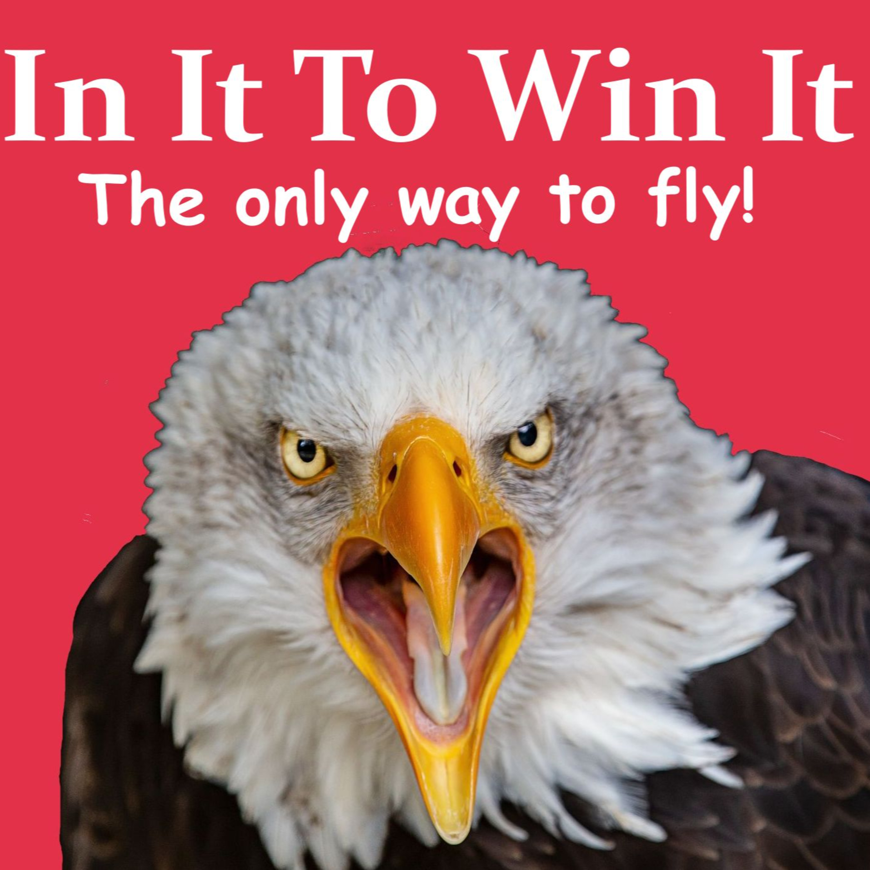 In It To Win It episode artwork