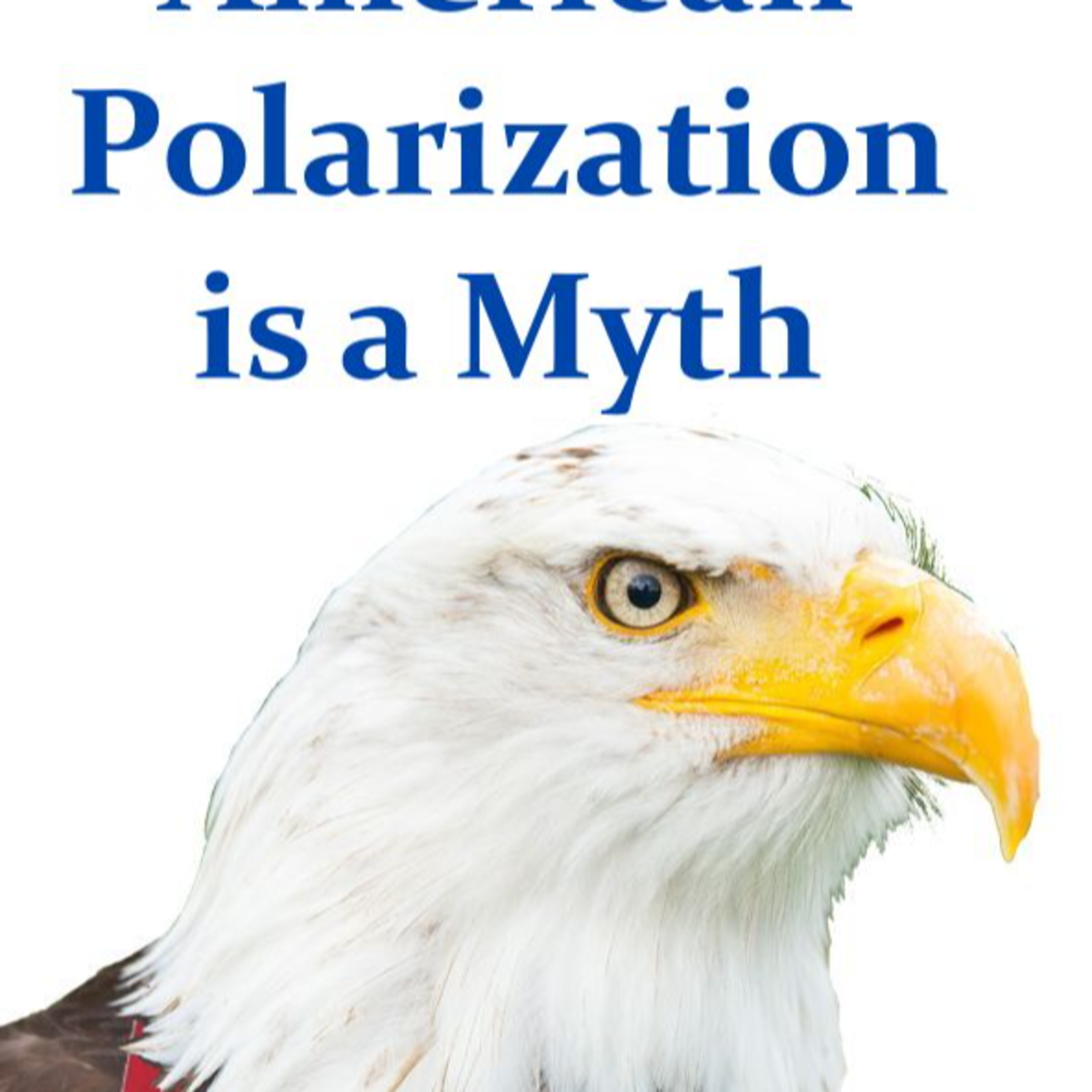 American Polarization is a Myth episode artwork