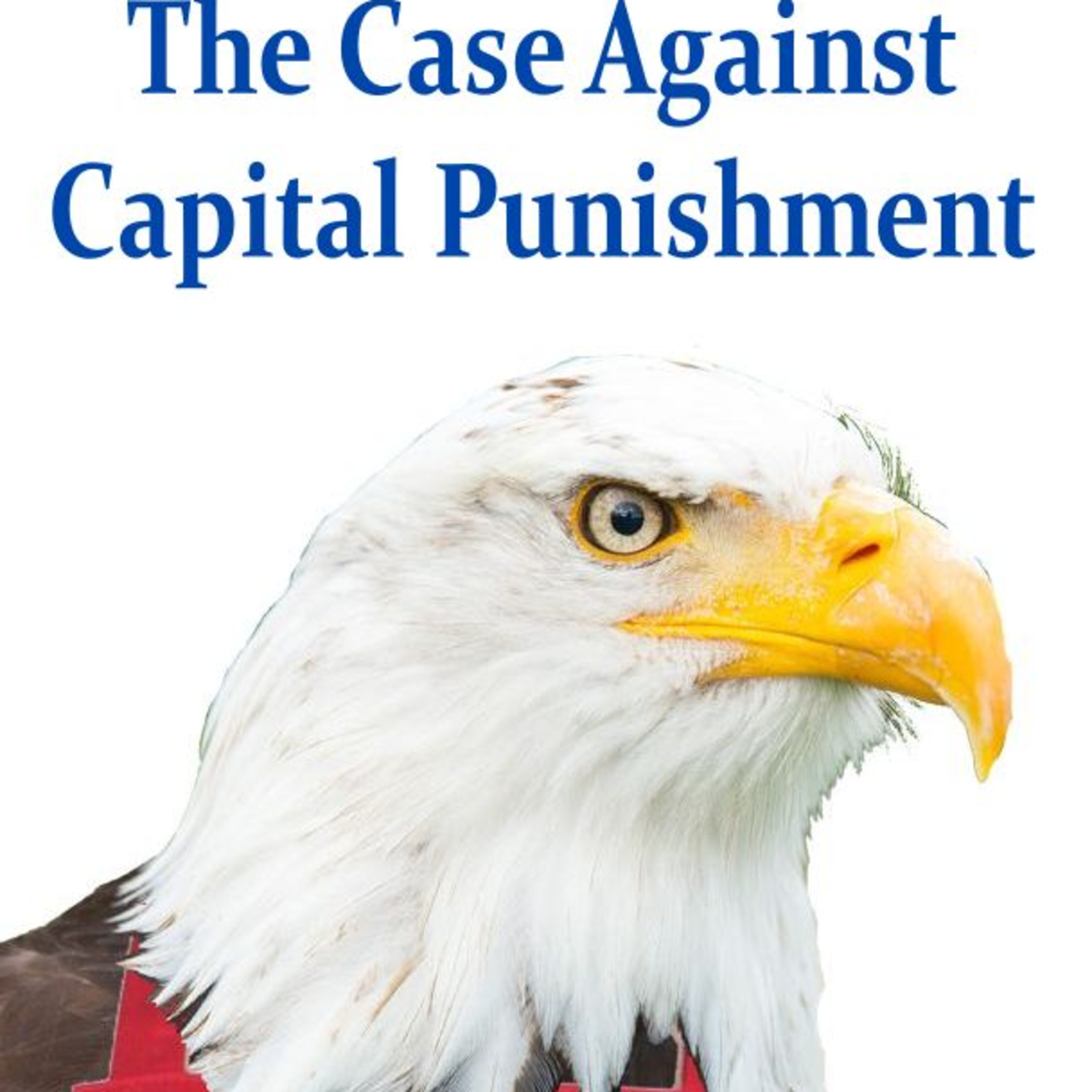 The Case Against Capital Punishment episode artwork