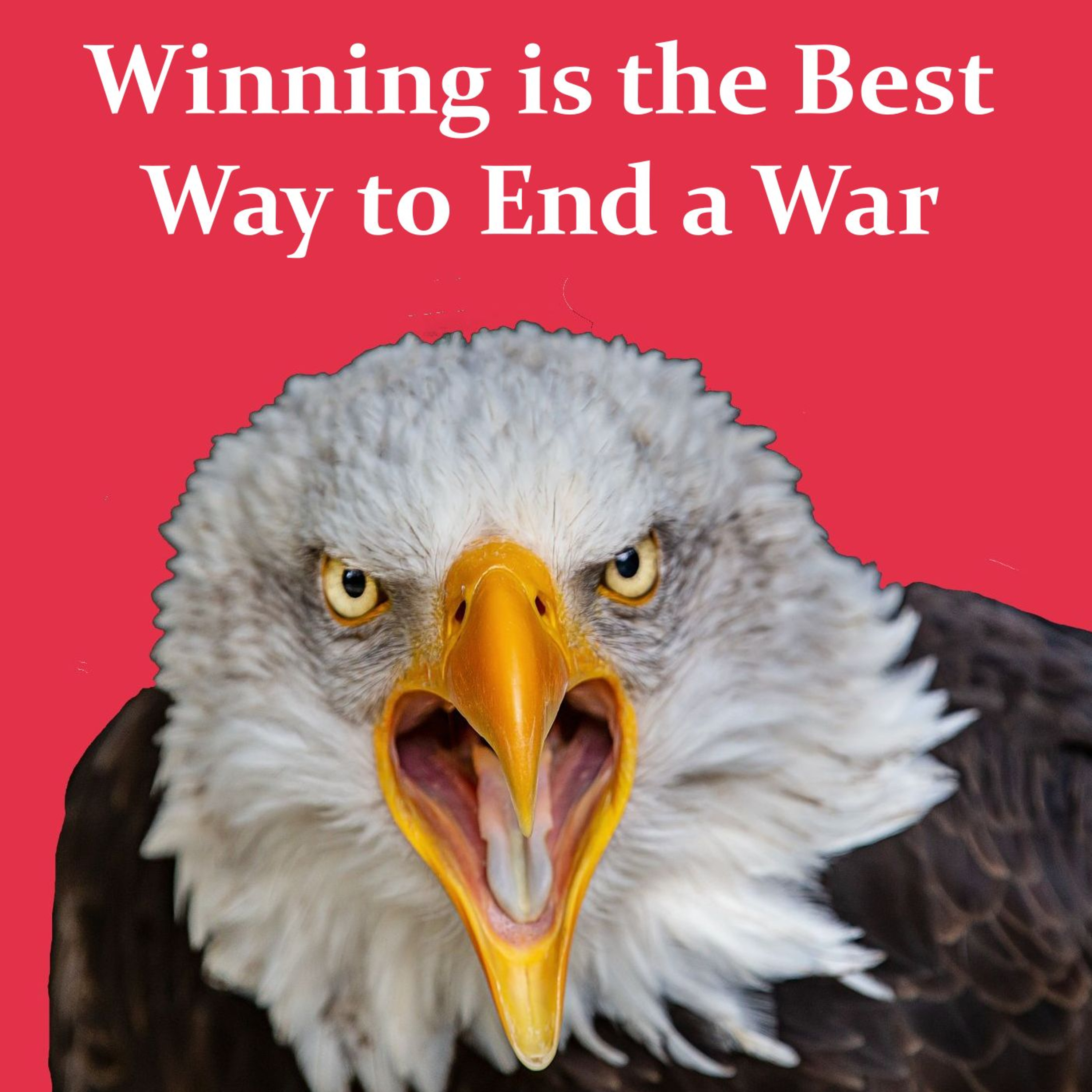 Winning is the Best Way to End a War episode artwork