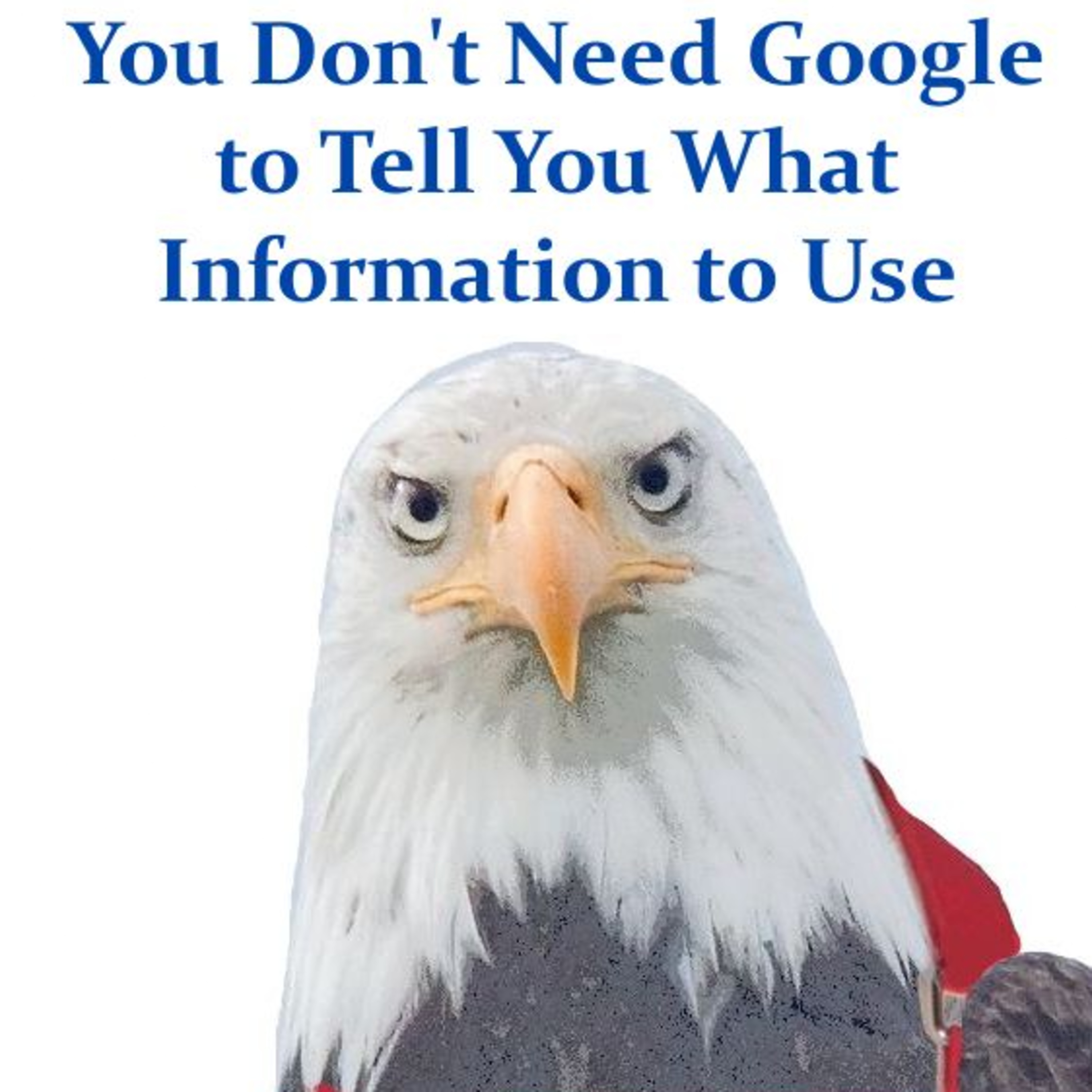 You Don't Need Google to Tell You What Information to Use episode artwork