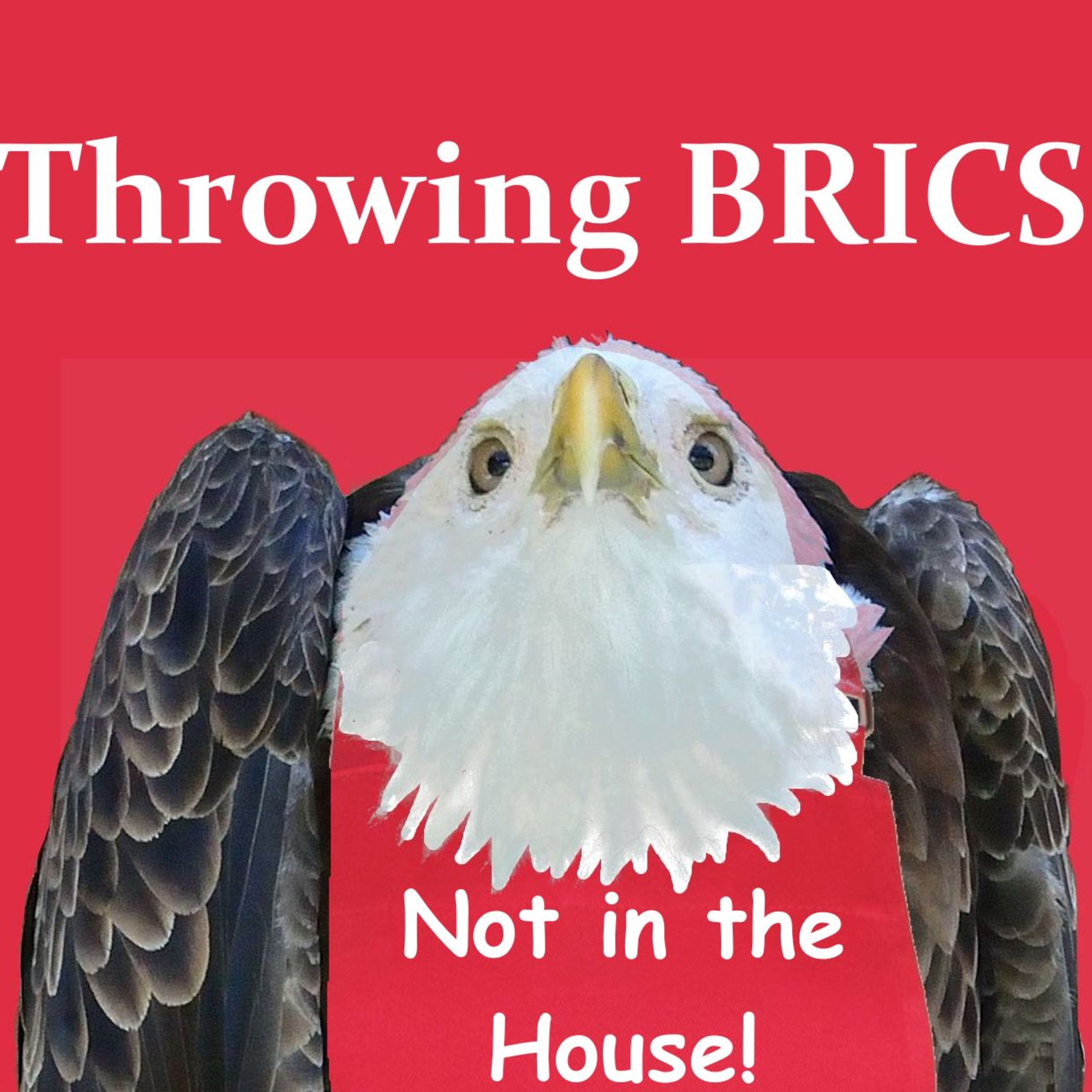 Throwing BRICS episode artwork