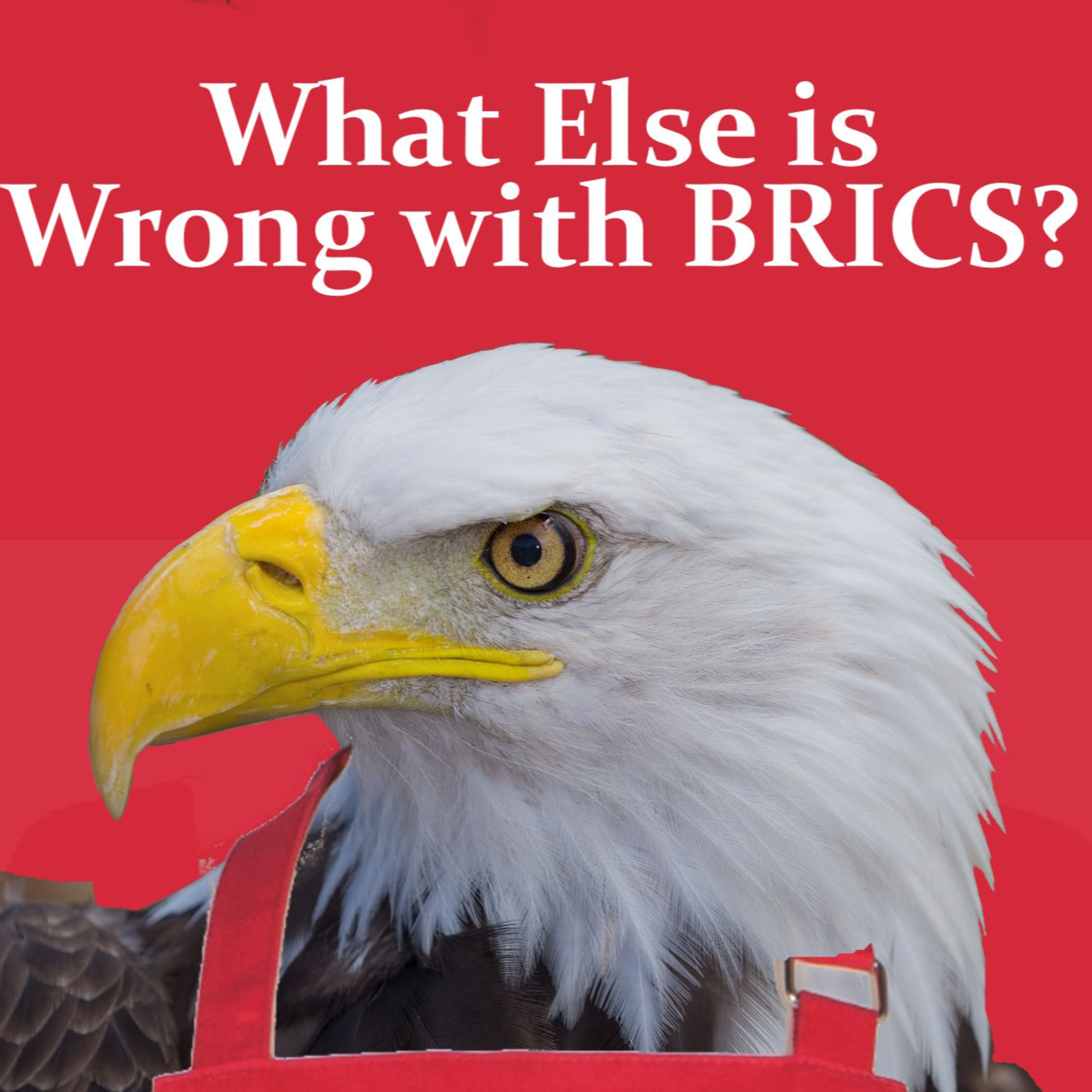 What Else is Wrong with BRICS? episode artwork