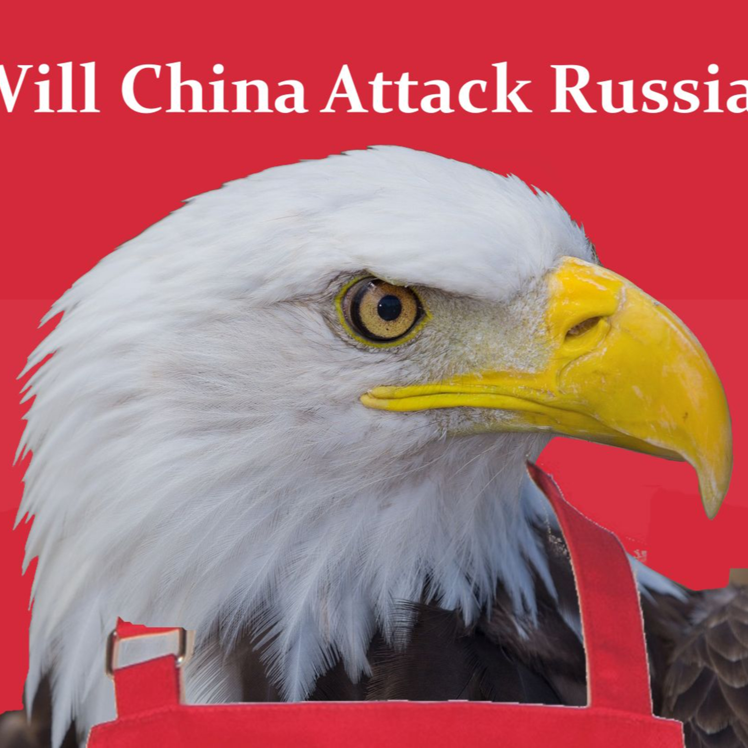 Will China Attack Russia? episode artwork