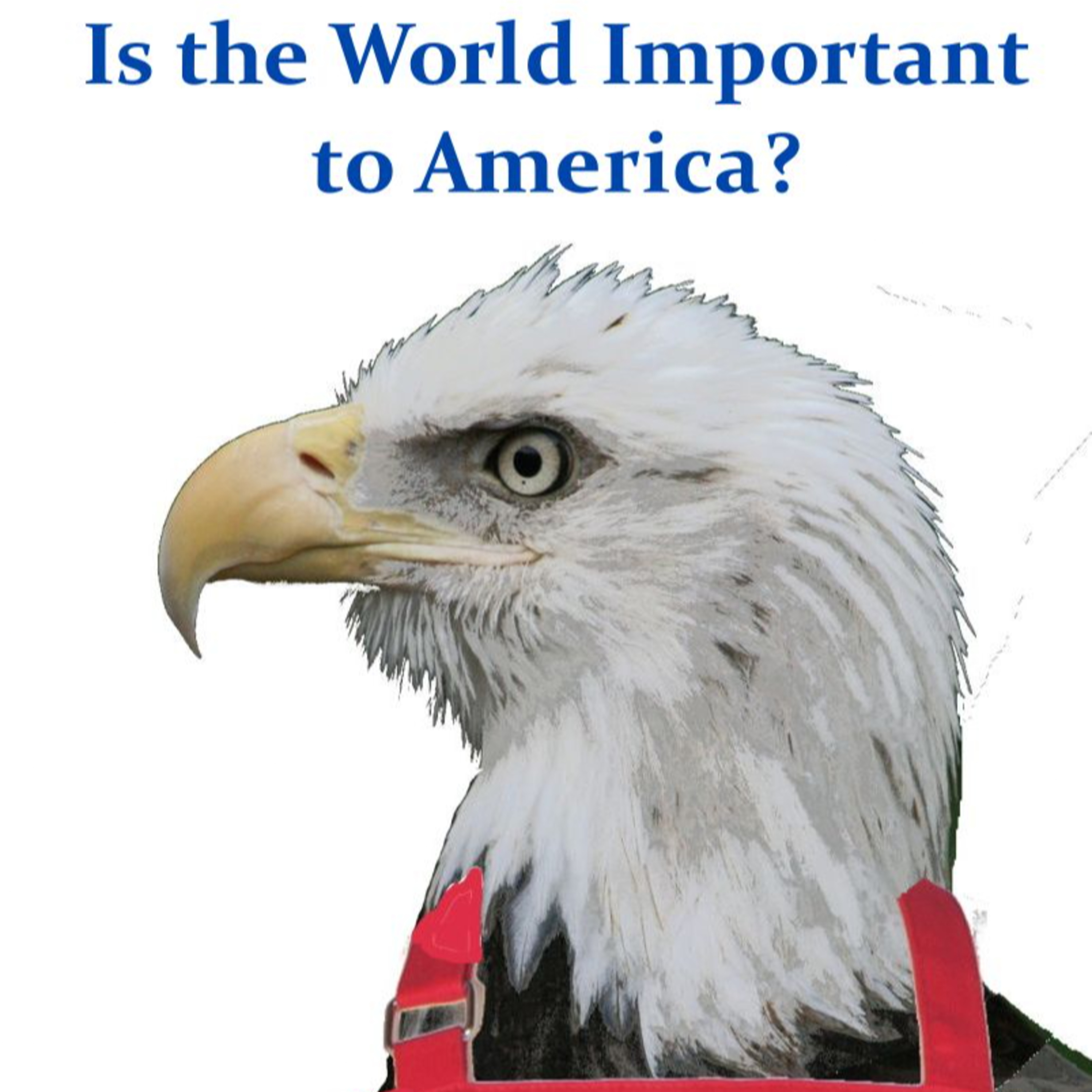 Is the World Important to America? episode artwork