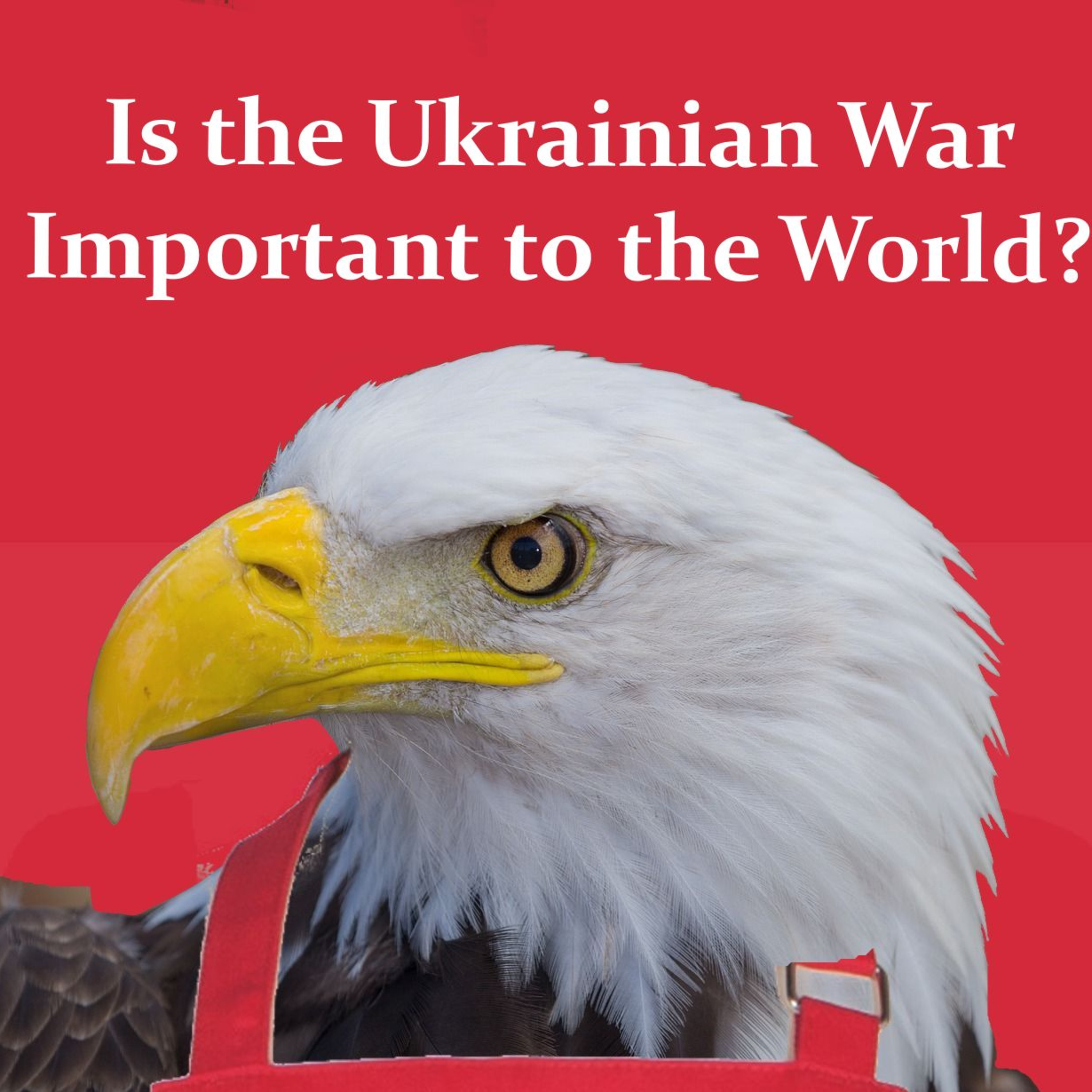 Is the Ukrainian War Important to the World? episode artwork
