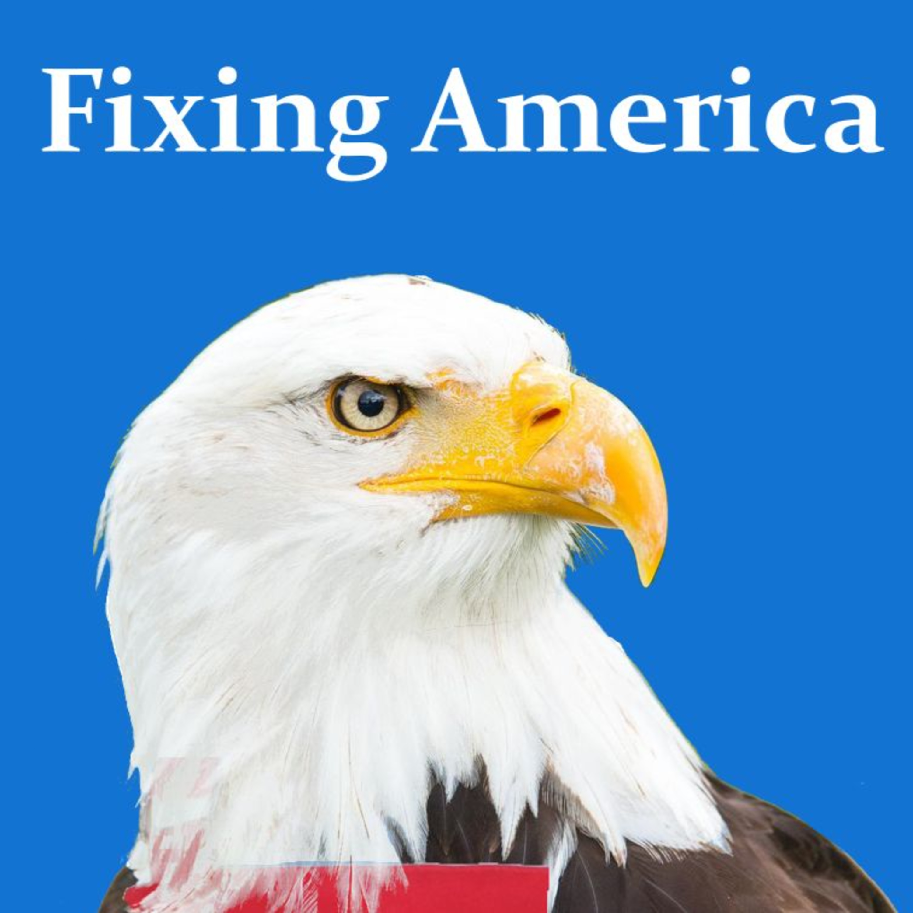 Fixing America episode artwork