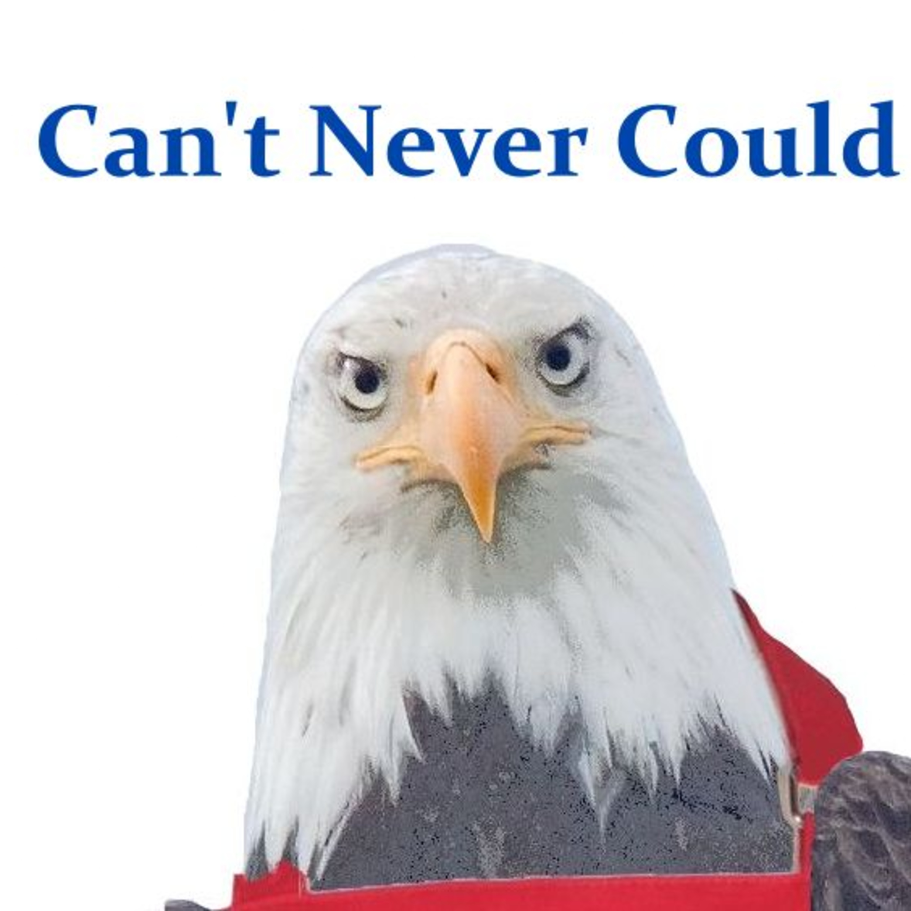 Can't Never Could episode artwork