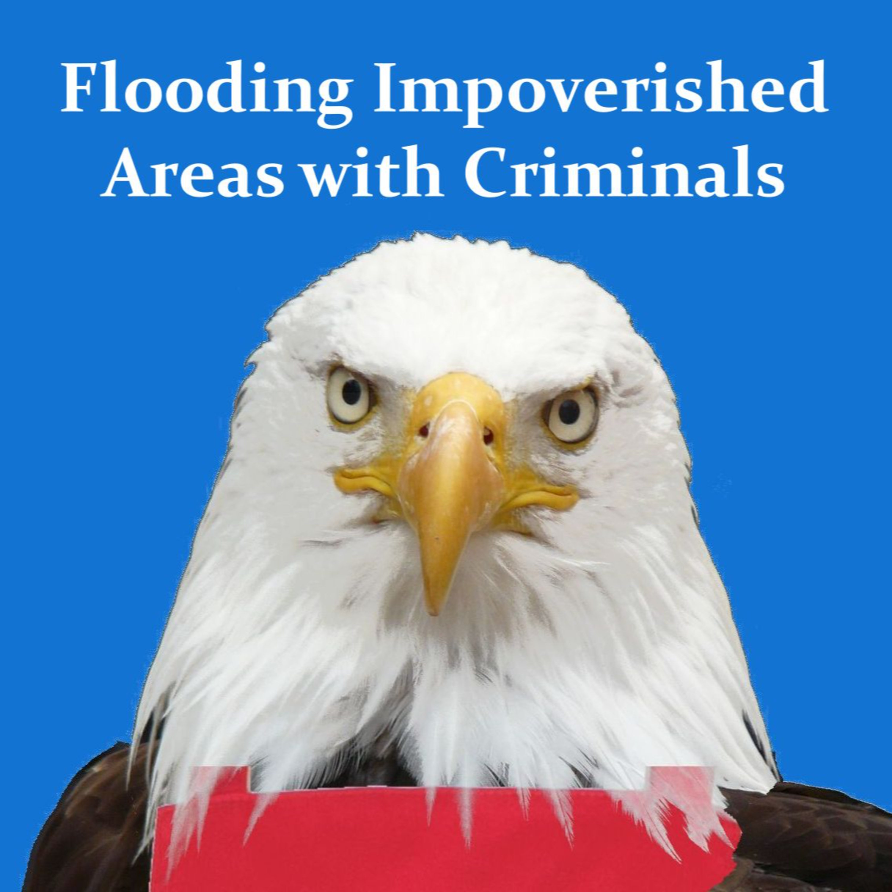 Flooding Impoverished Areas with Criminals episode artwork