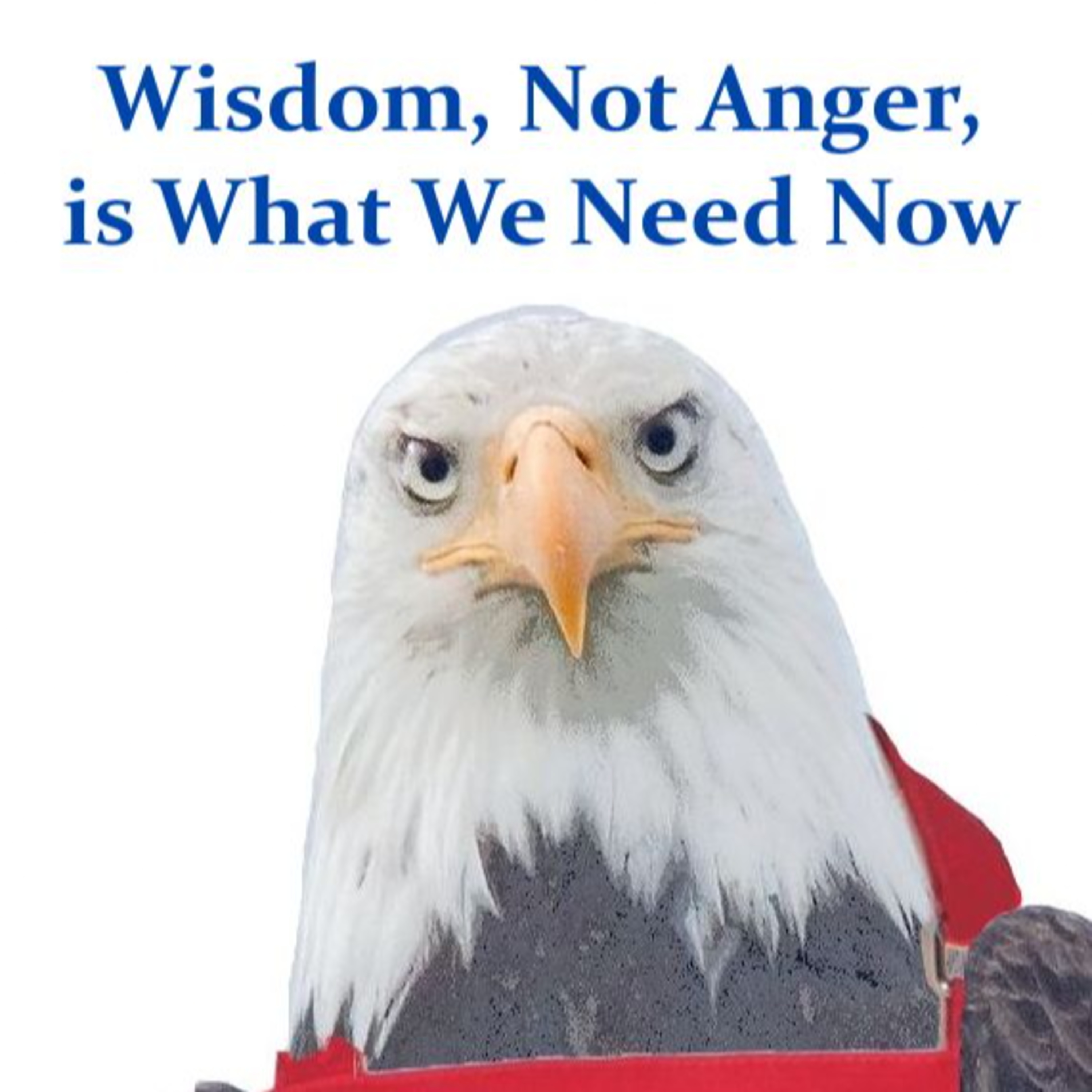 Wisdom, Not Anger, is What We Need Now episode artwork