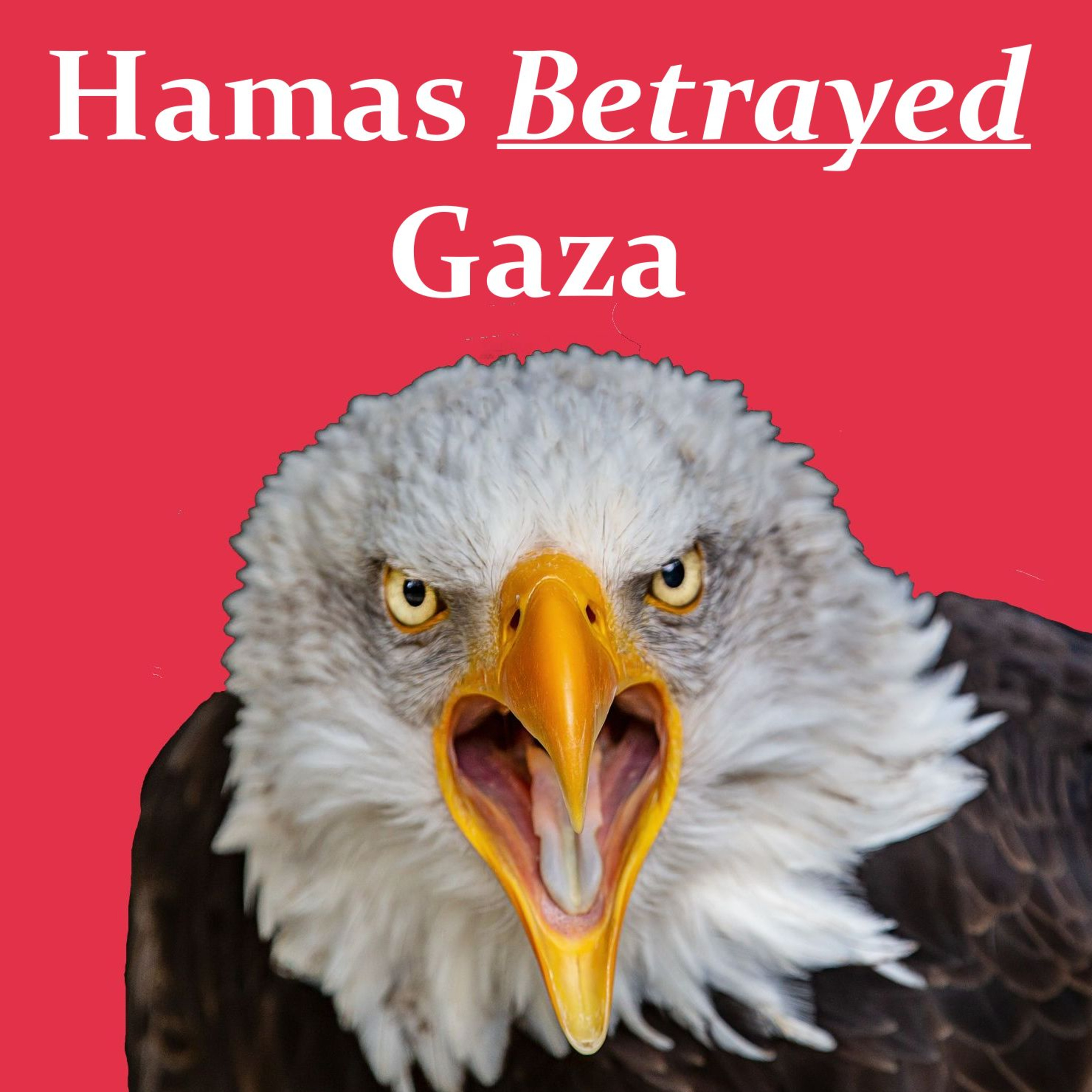 Hamas Betrayed Gaza episode artwork