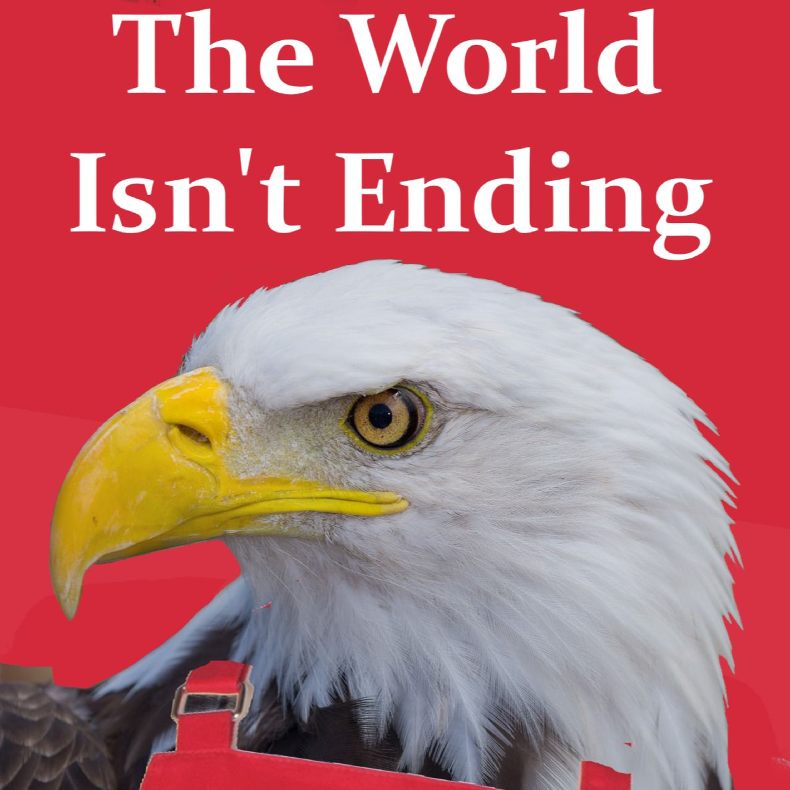 The World Isn't Ending episode artwork