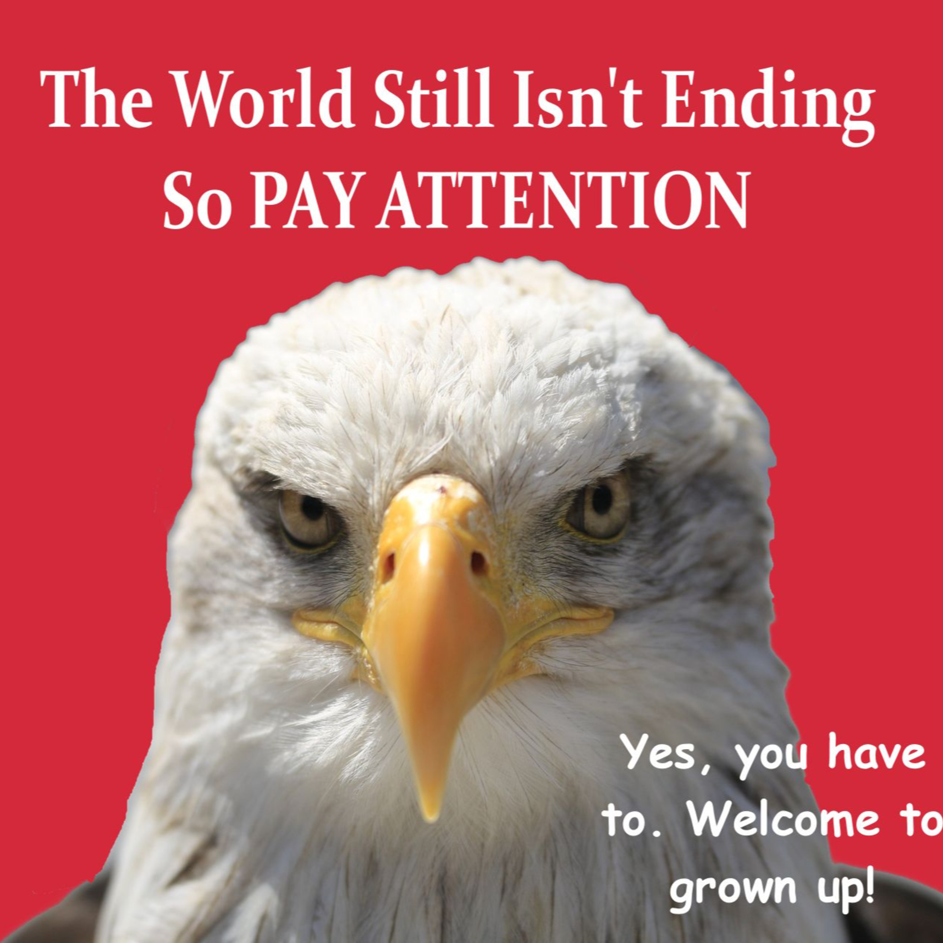 The World Still Isn't Ending So PAY ATTENTION episode artwork