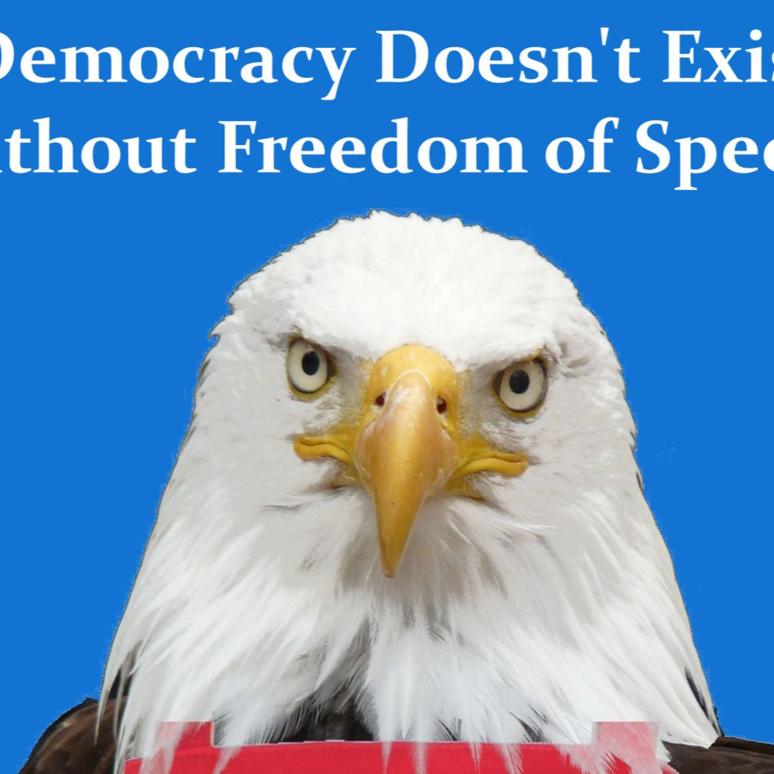 Democracy Doesn't Exist Without Freedom of Speech episode artwork