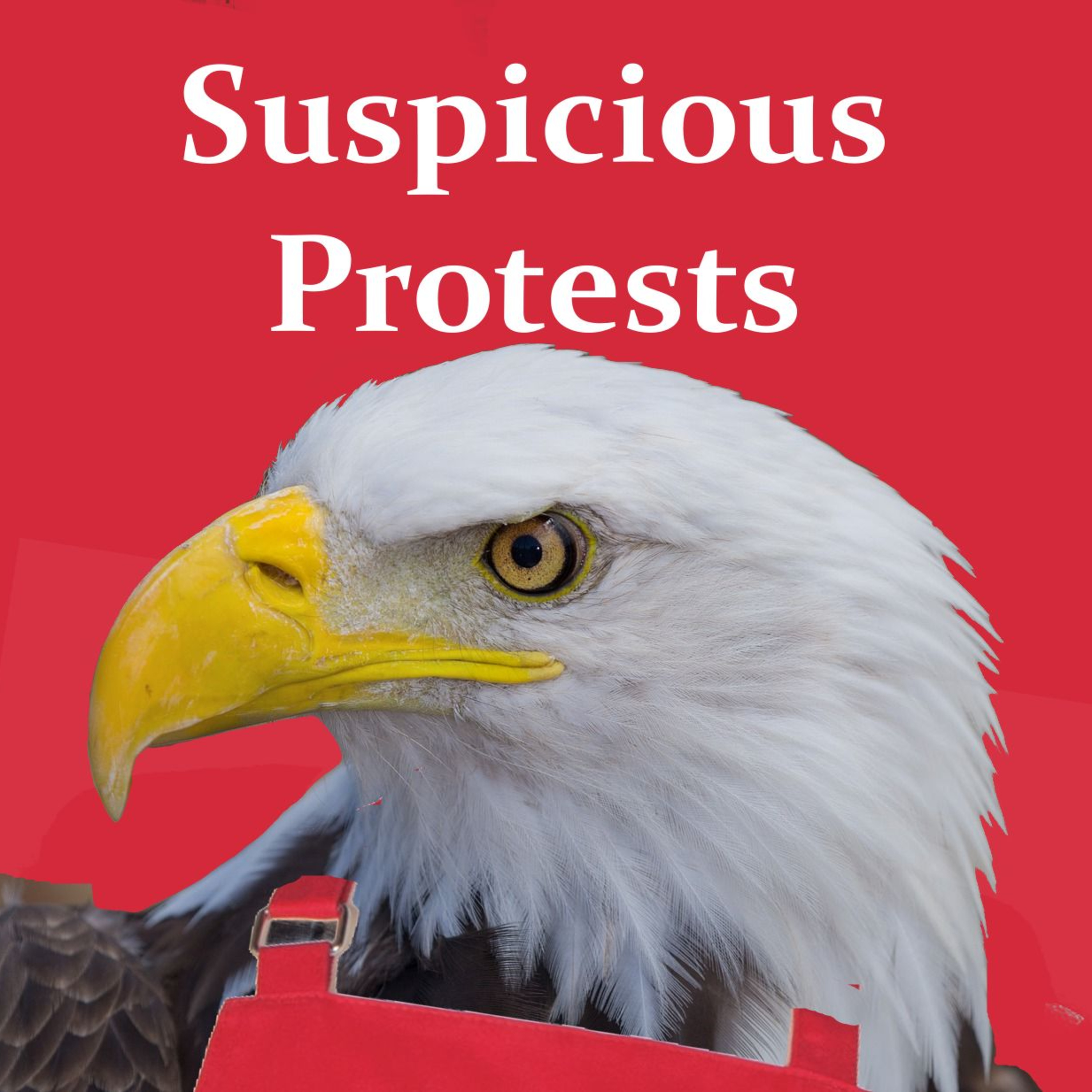 Suspicious Protests episode artwork