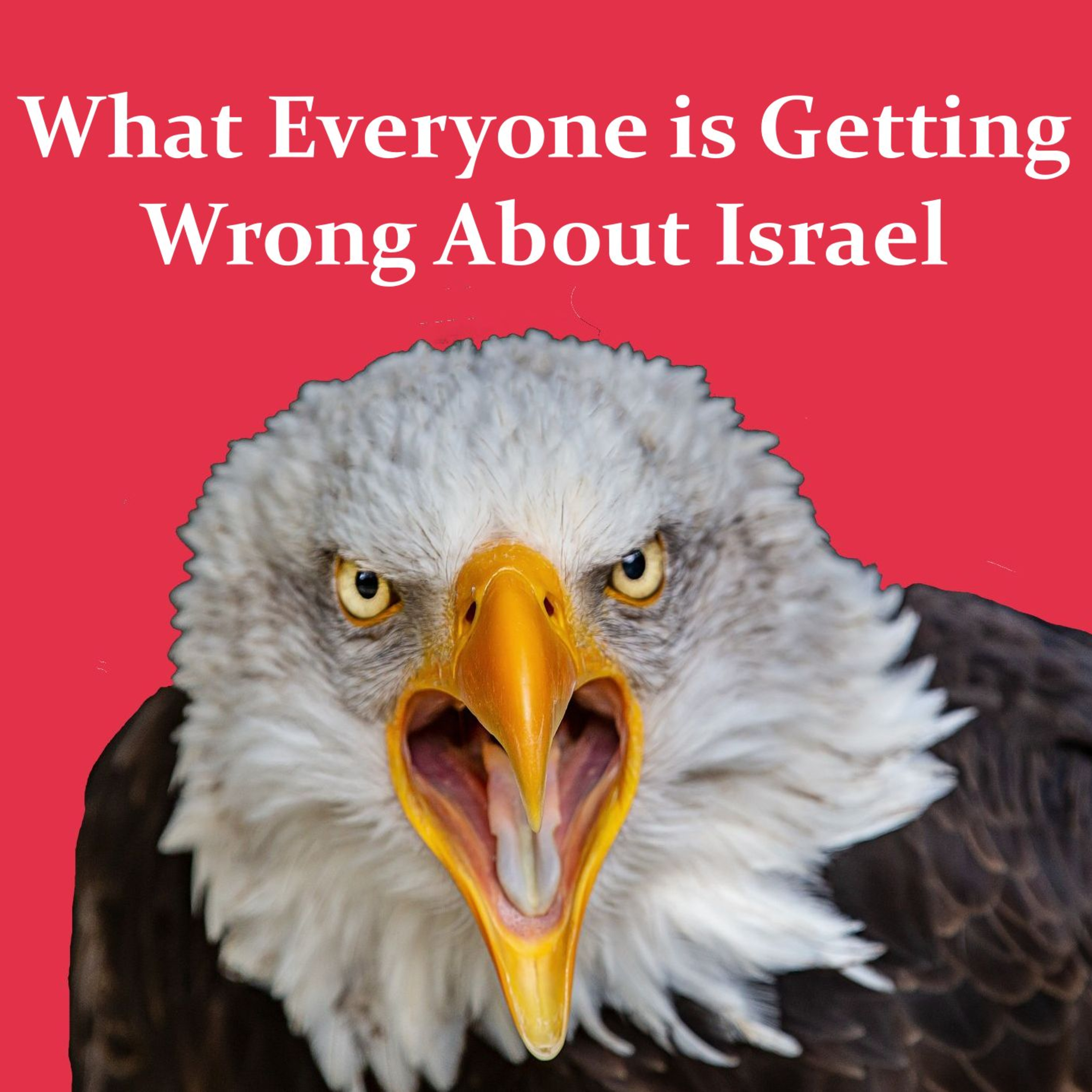 What Everyone is Getting Wrong About Israel episode artwork