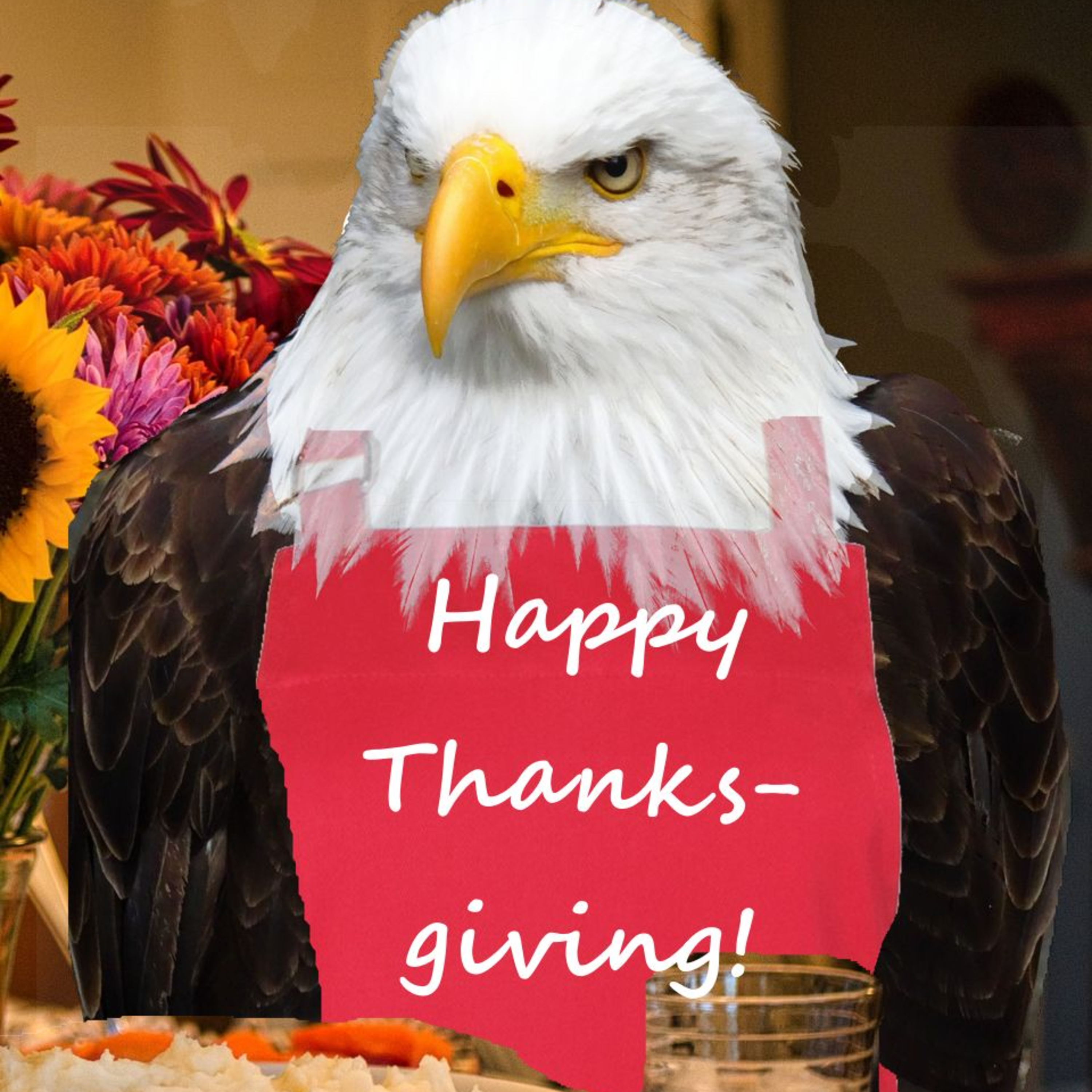 Happy Thanksgiving! episode artwork