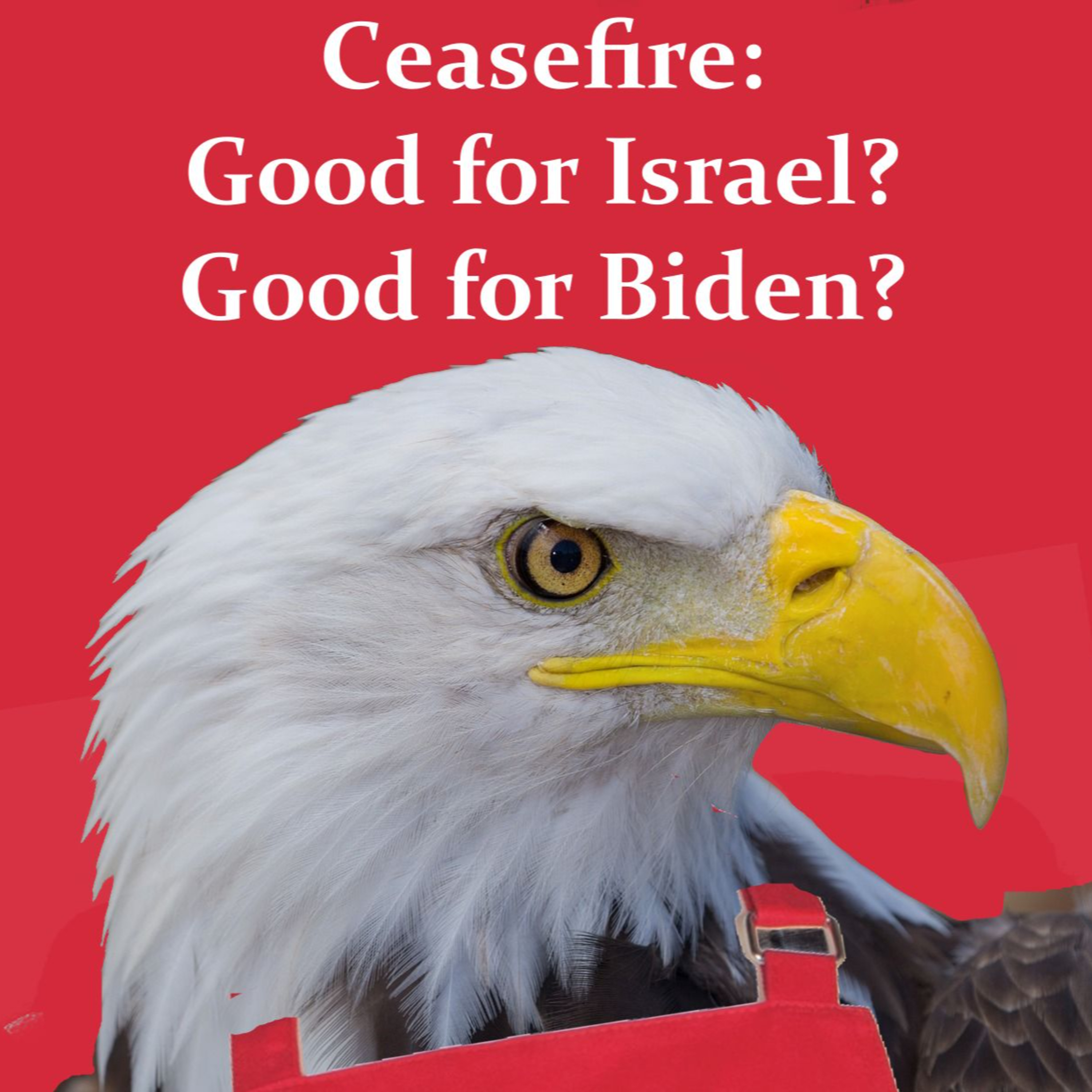 Ceasefire: Good for Israel? Good for Biden? episode artwork
