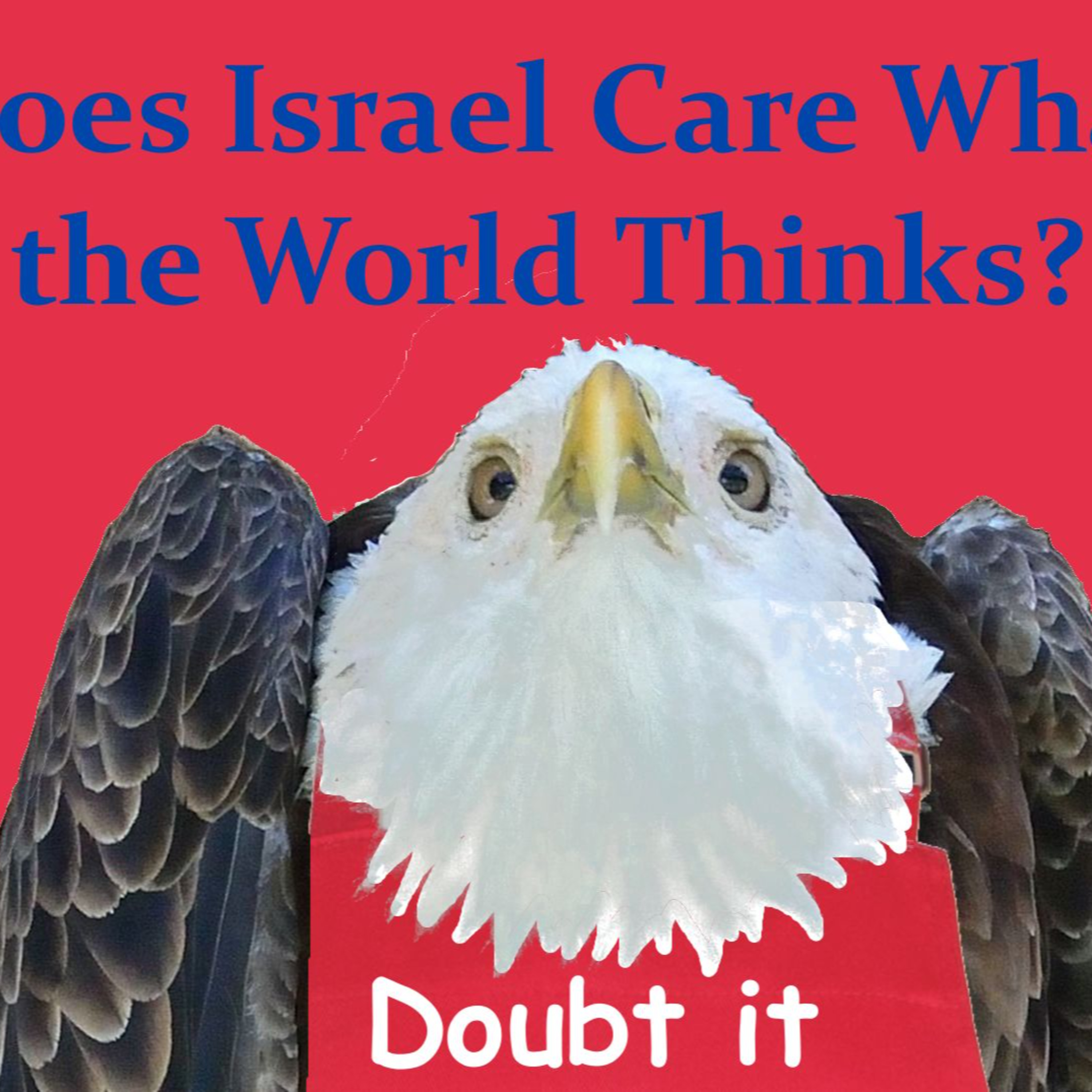  Does Israel Care What the World Thinks? episode artwork