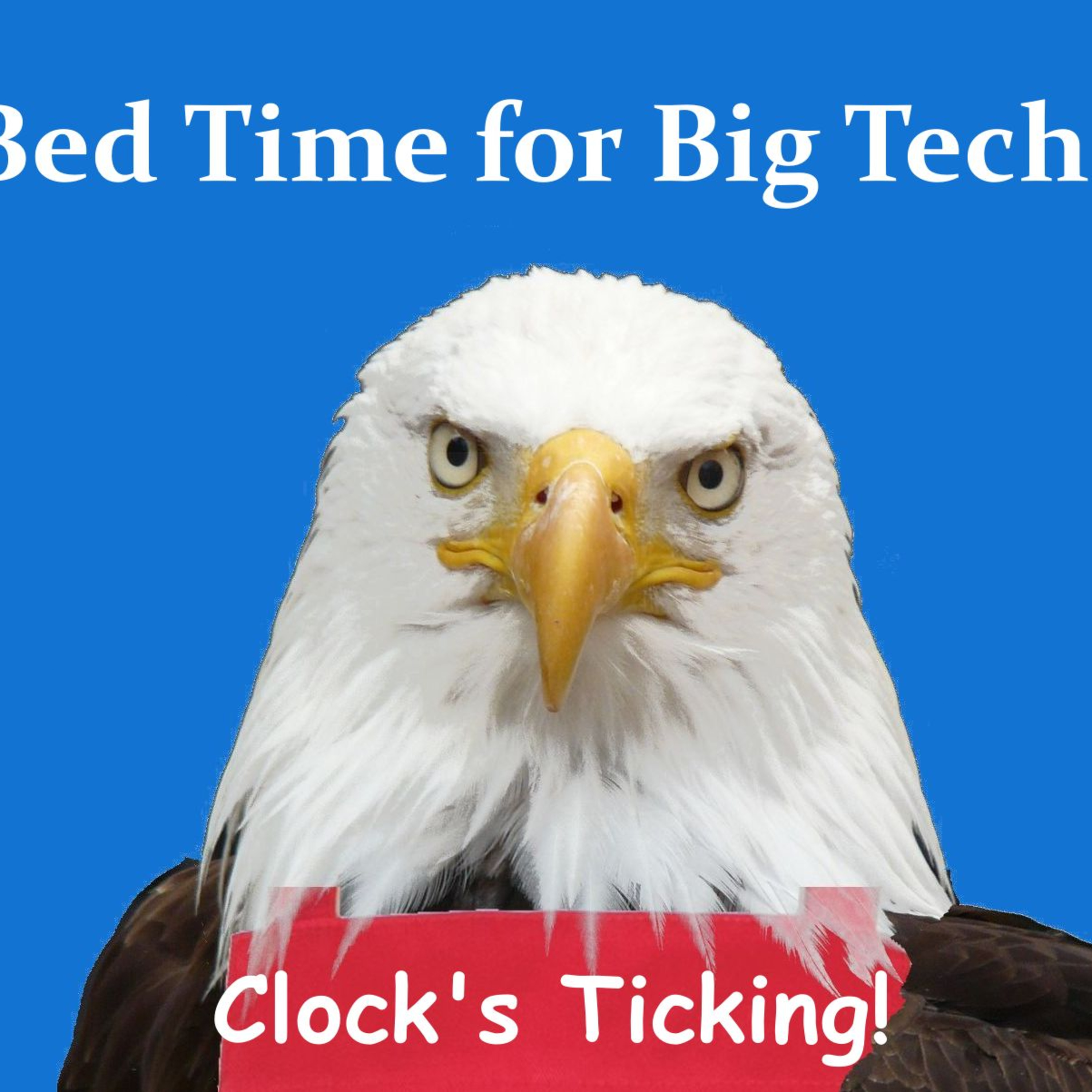 Bedtime for Big Tech? episode artwork