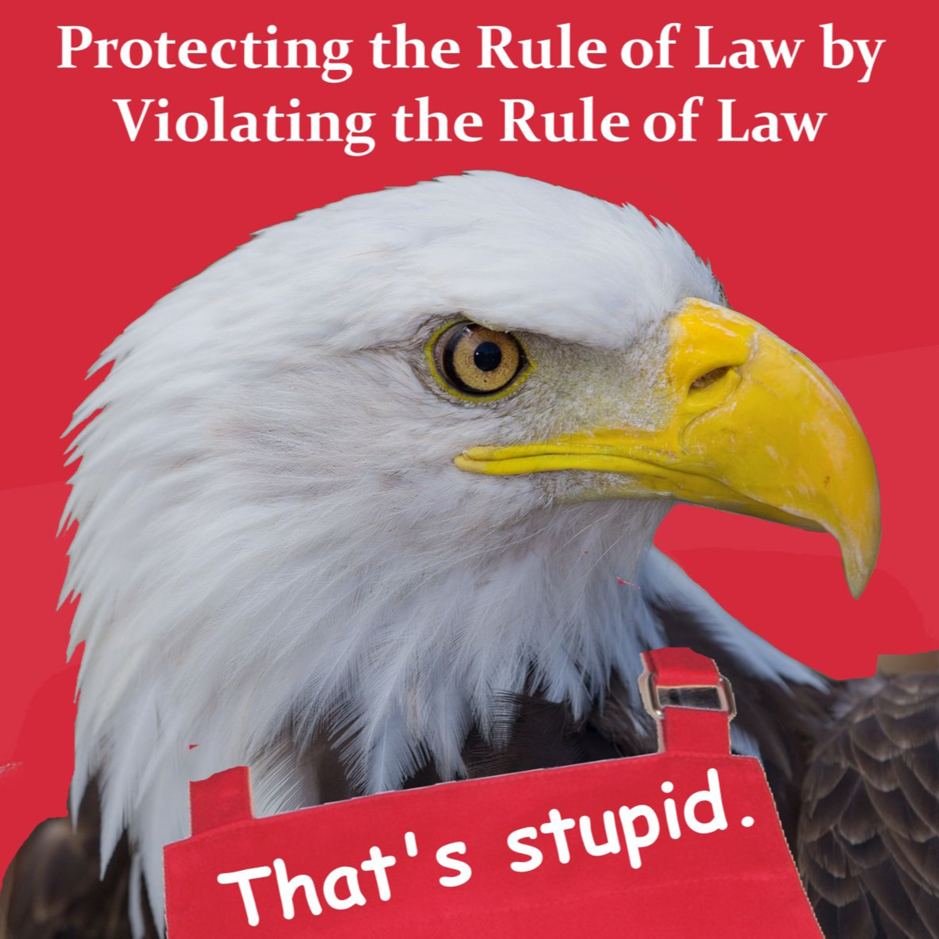 Protecting the Rule of Law by Violating the Rule of Law episode artwork