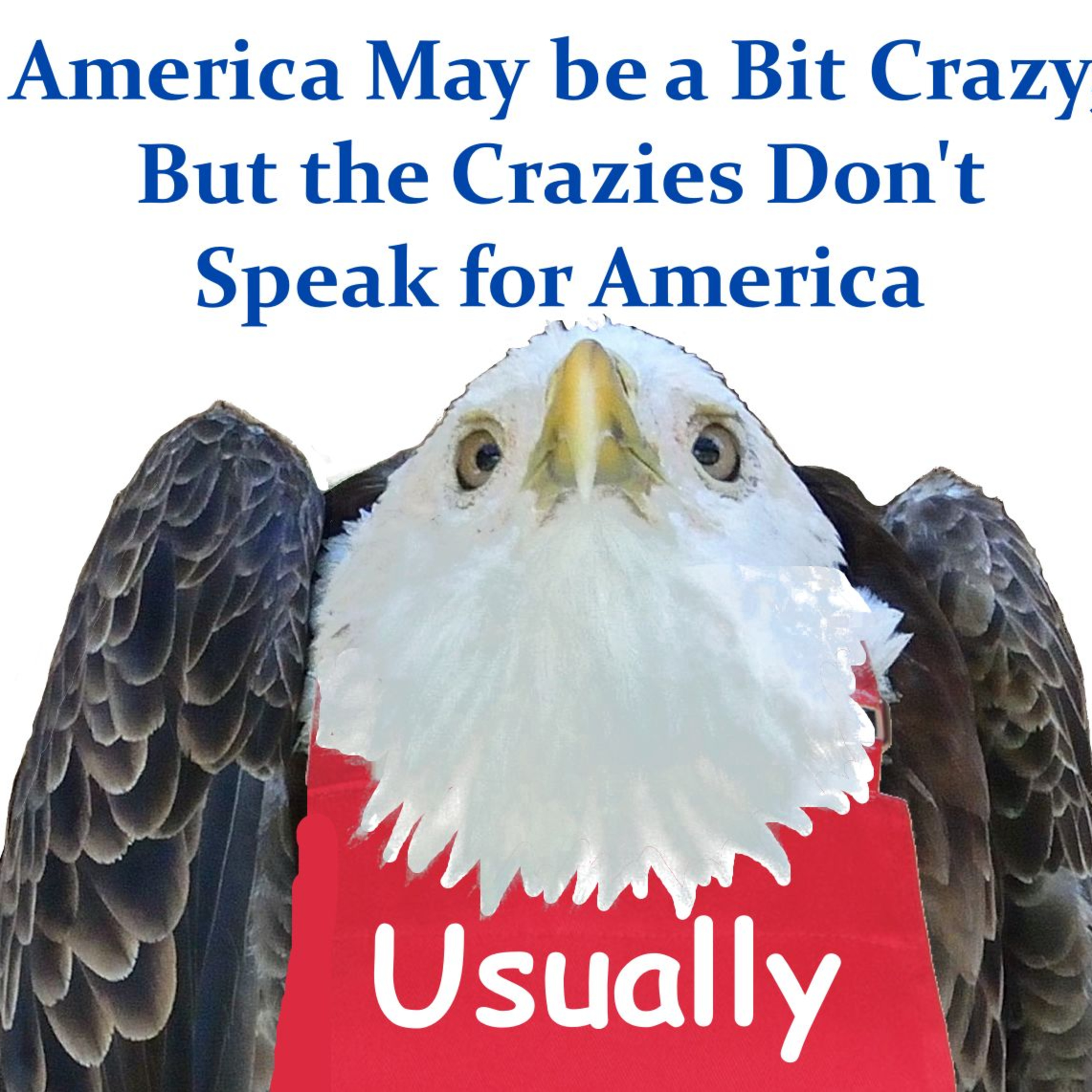https://quillsword.net/america-may-be-a-bit-crazy-but-the-crazies-dont-speak-for-america/ episode artwork