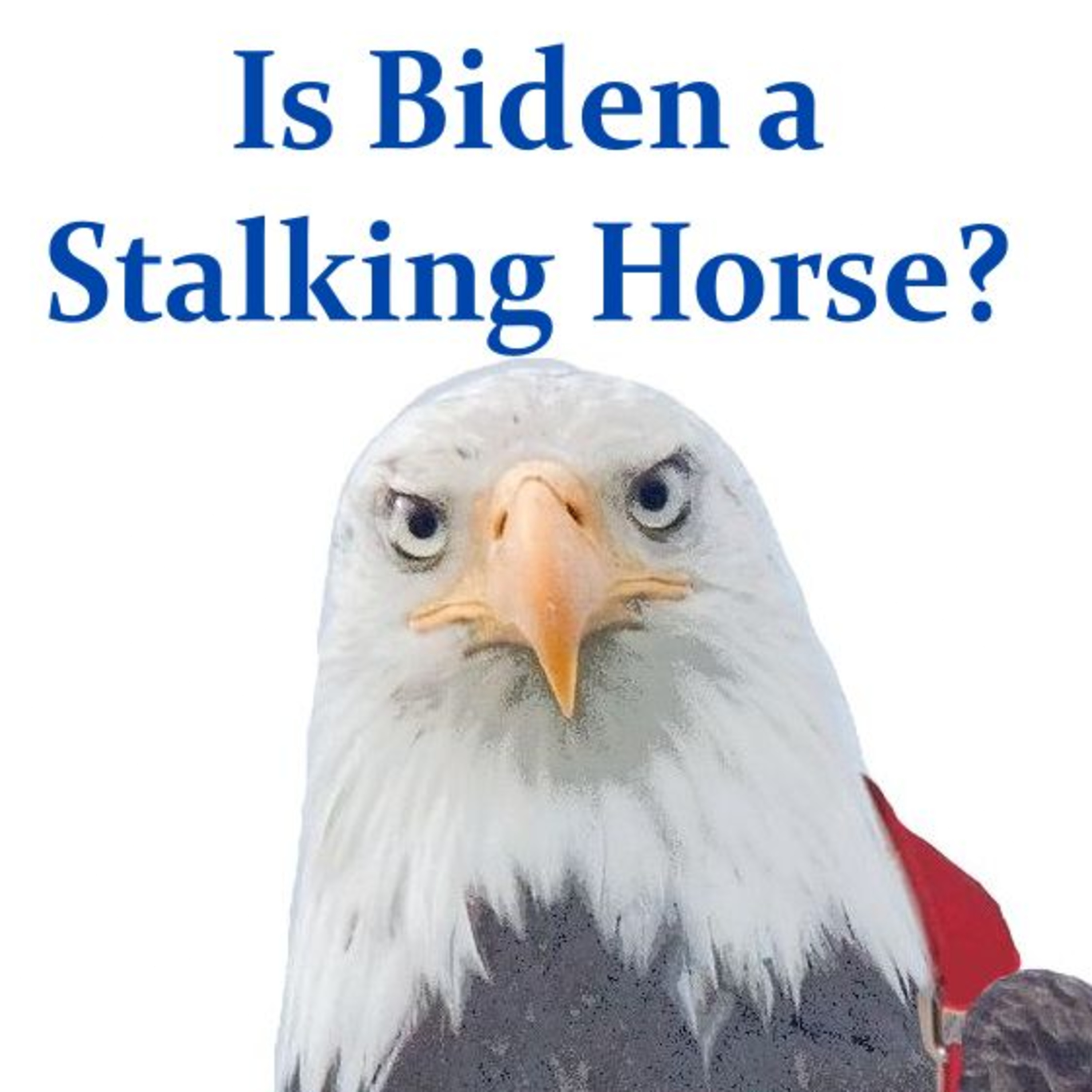Is Biden a Stalking Horse? episode artwork