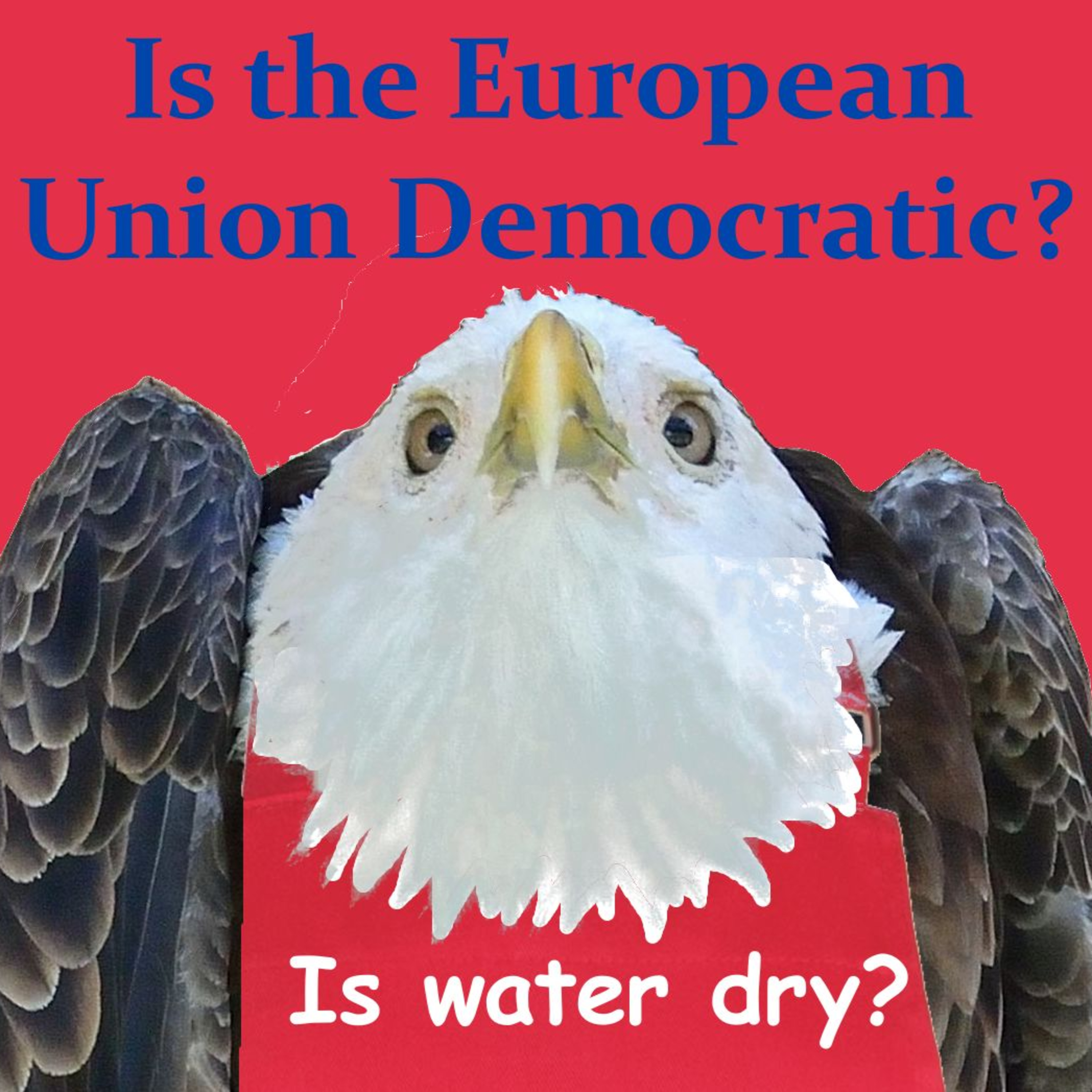 Is the European Union Democratic? episode artwork