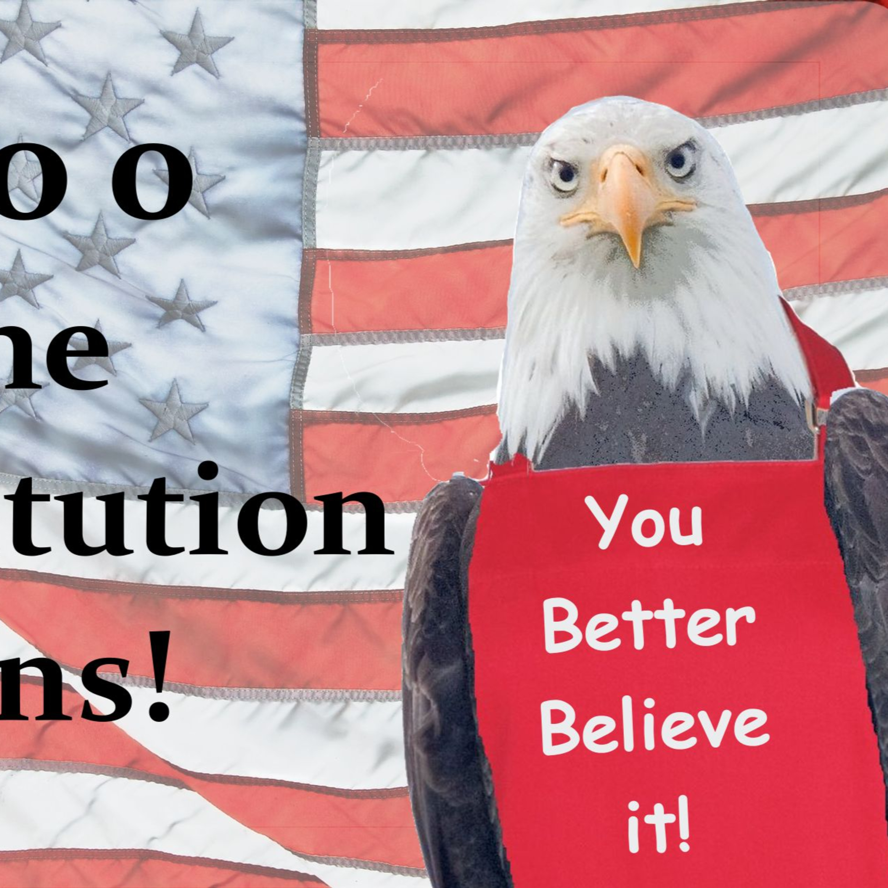9 - 0 ! The Constitution WINS! episode artwork