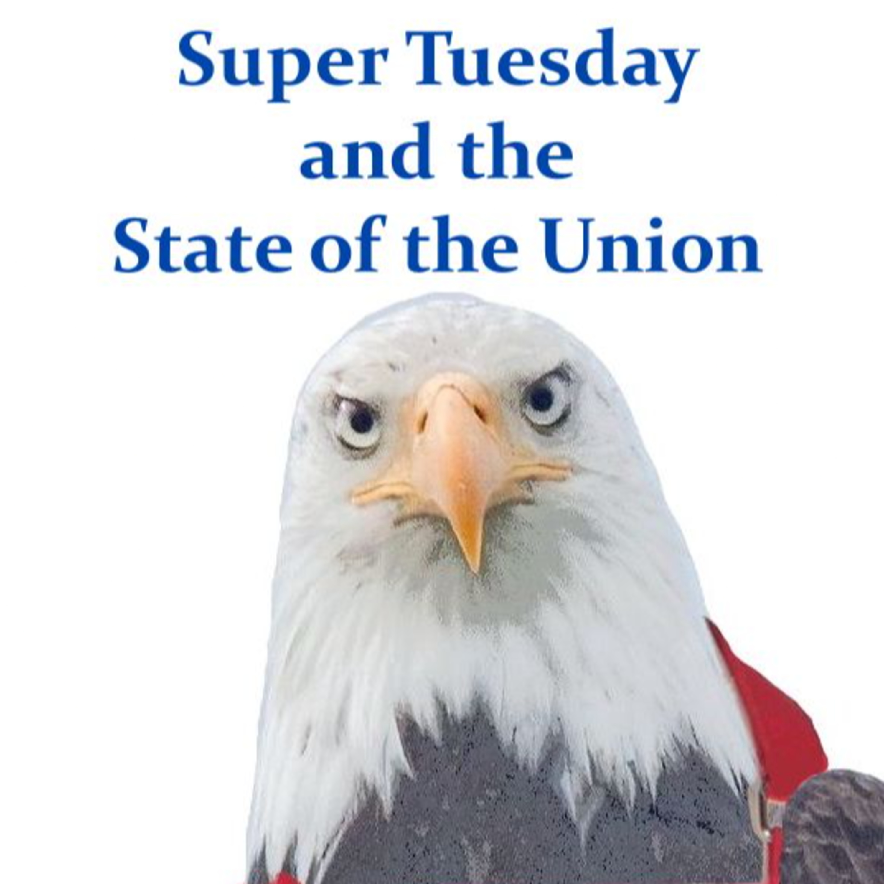 Super Tuesday and the State of the Union episode artwork