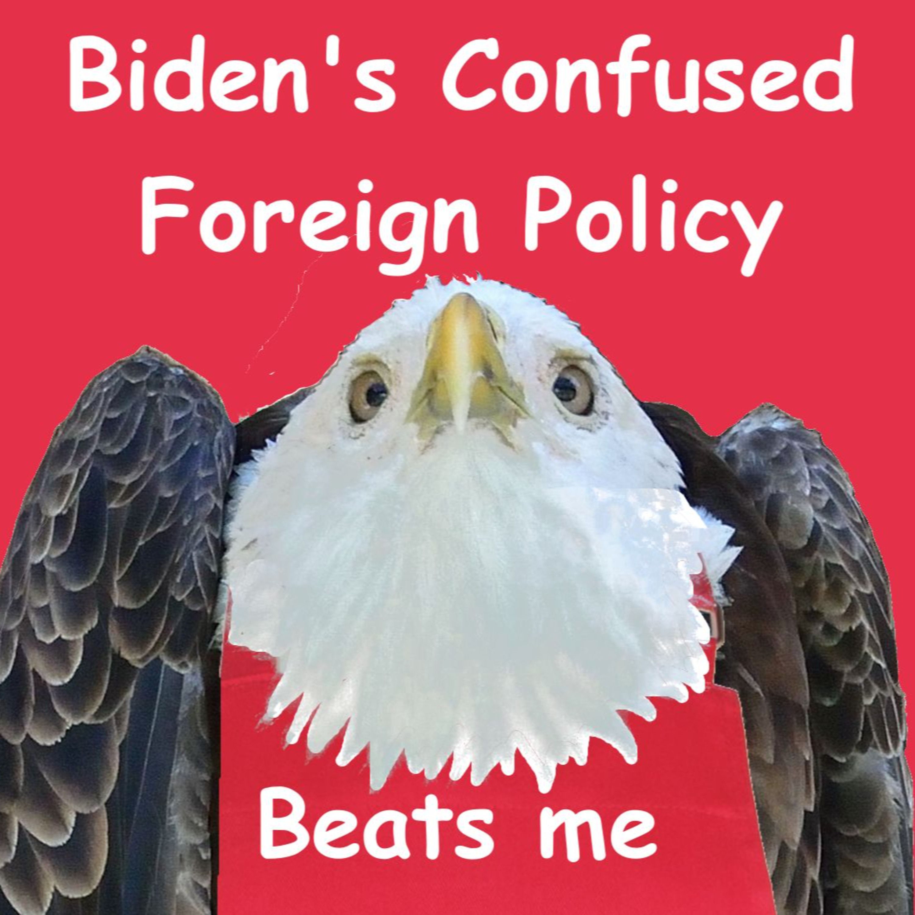 Useless to Ukraine and Turning on Israel - Biden's Confused Foreign Policy episode artwork