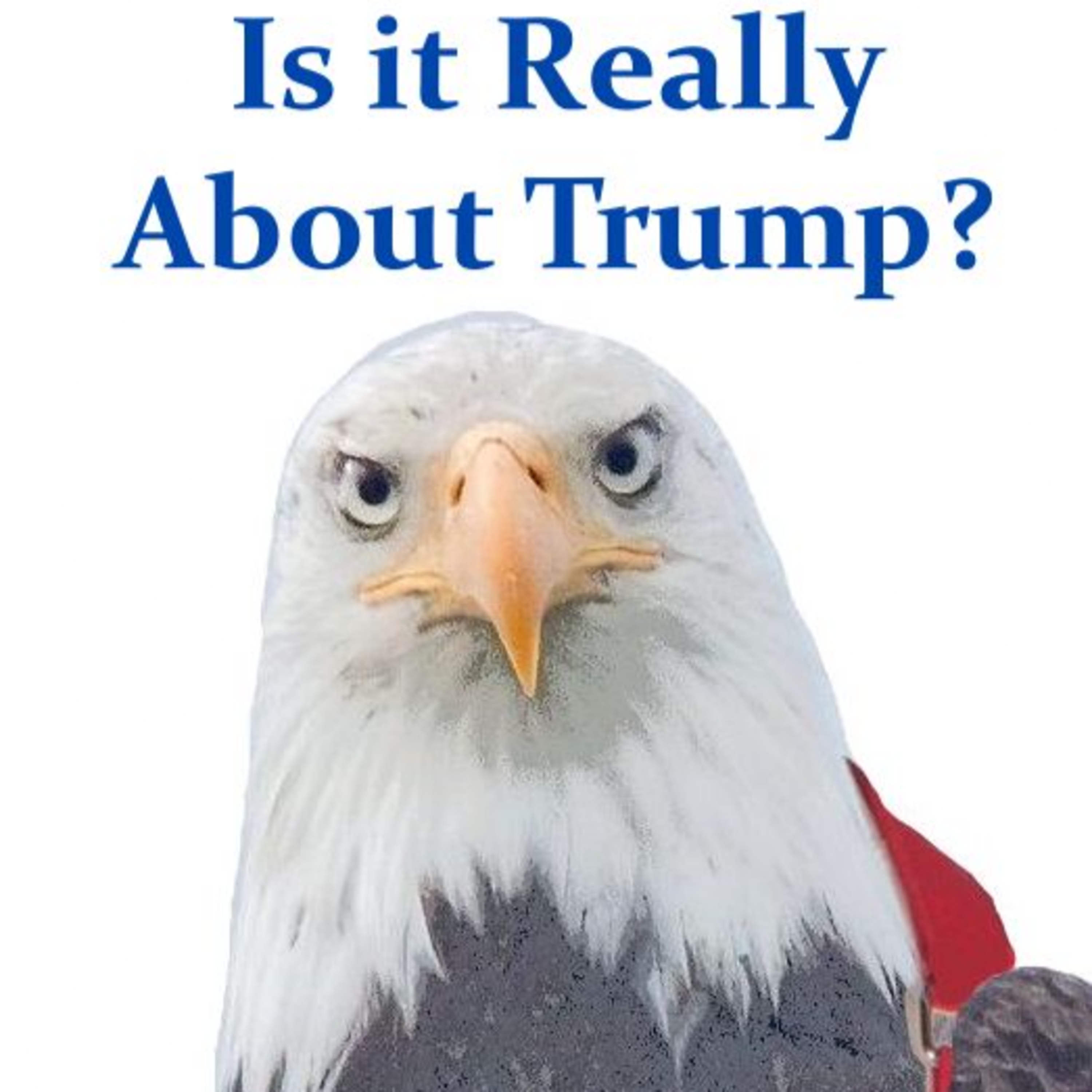 Is It Really About Trump? episode artwork
