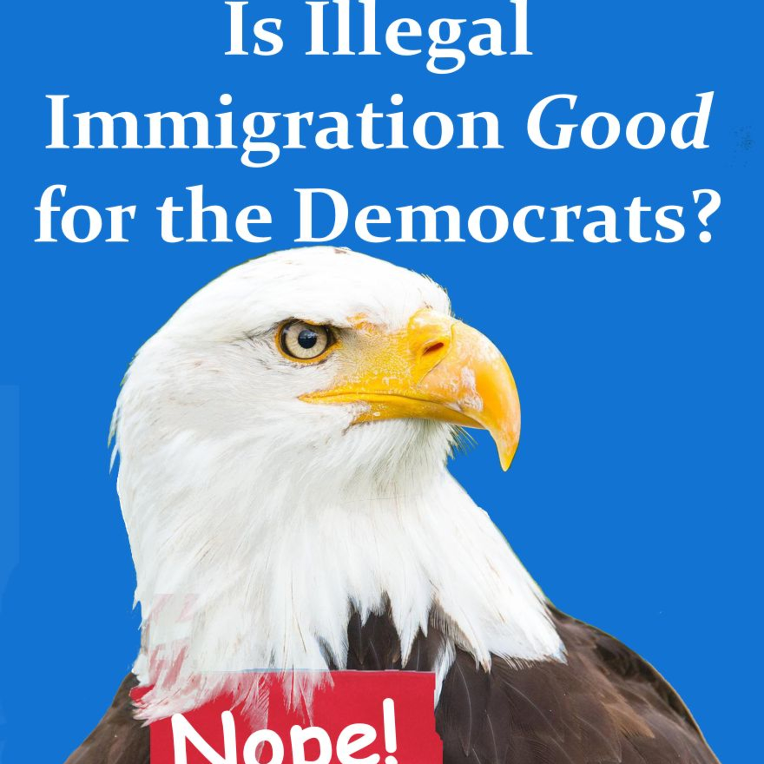 Is Illegal Immigration Good for the Democrats? episode artwork