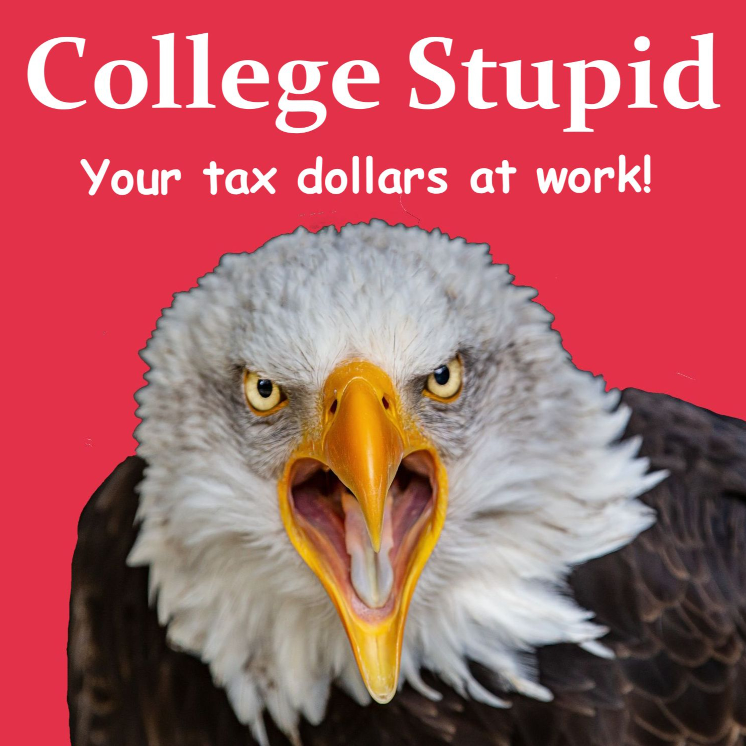 College Stupid episode artwork