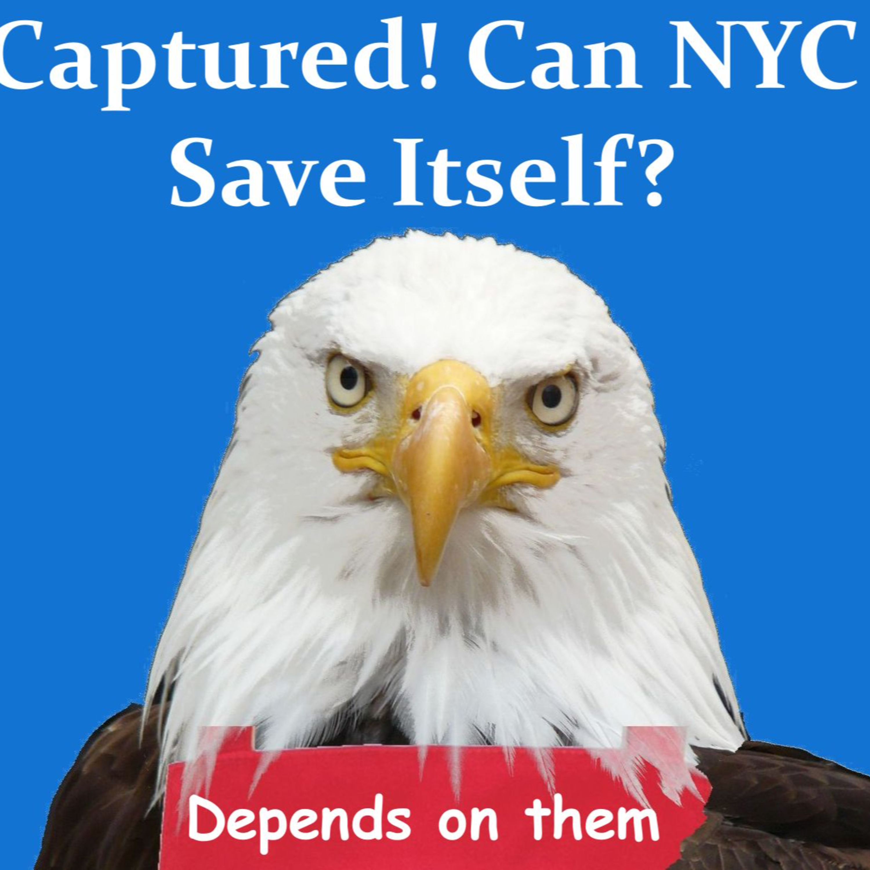 Captured! Can NYC Save Itself? episode artwork